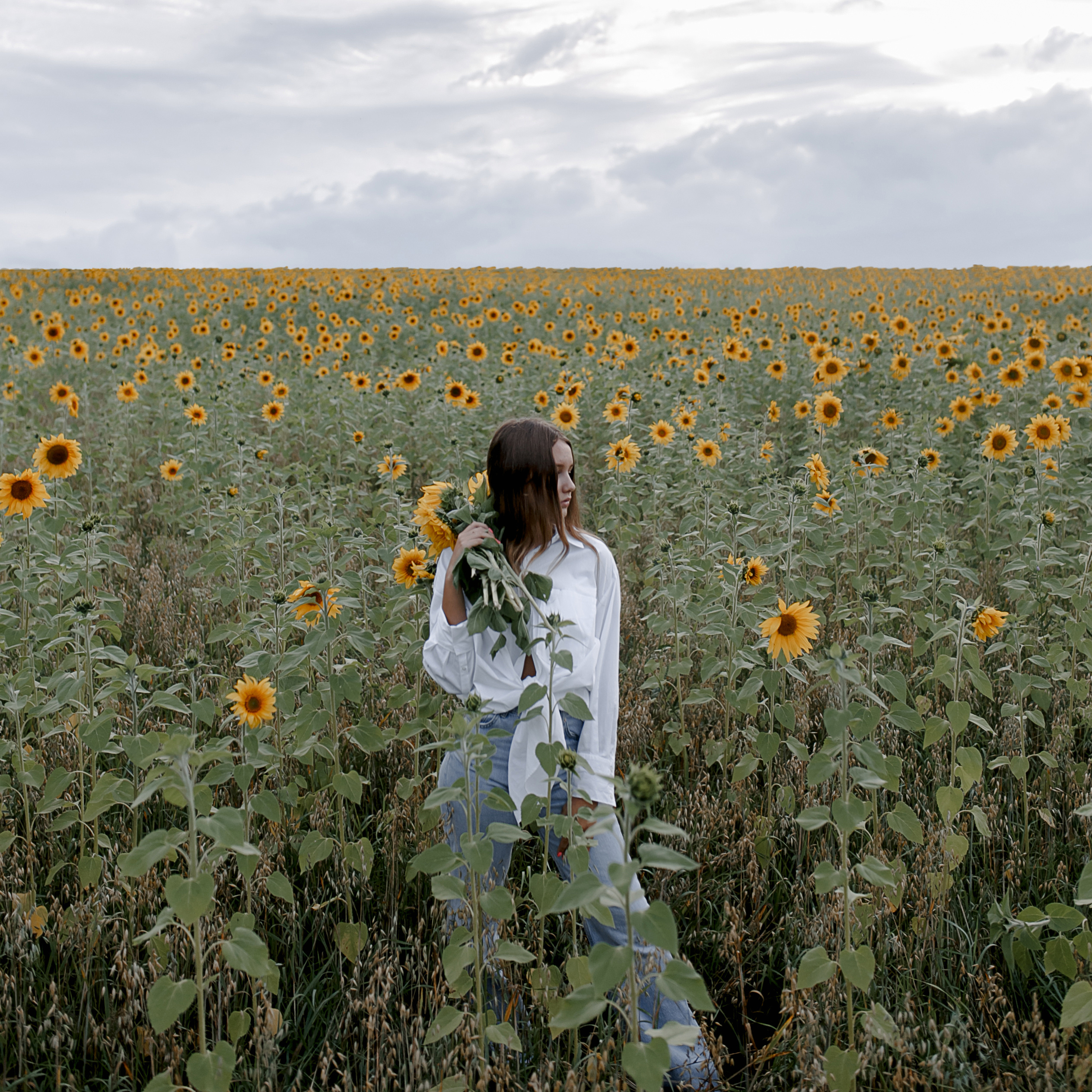 Подсолнухи. Свадебный фотограф Екатерина Худякова — Ярославль, Санкт-Петербург, Москва