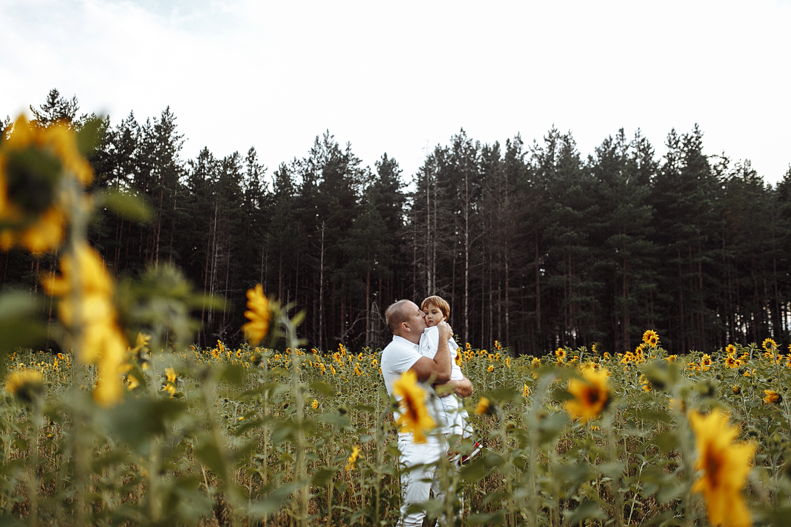 Подсолнухи. Свадебный фотограф Екатерина Худякова — Ярославль, Санкт-Петербург, Москва