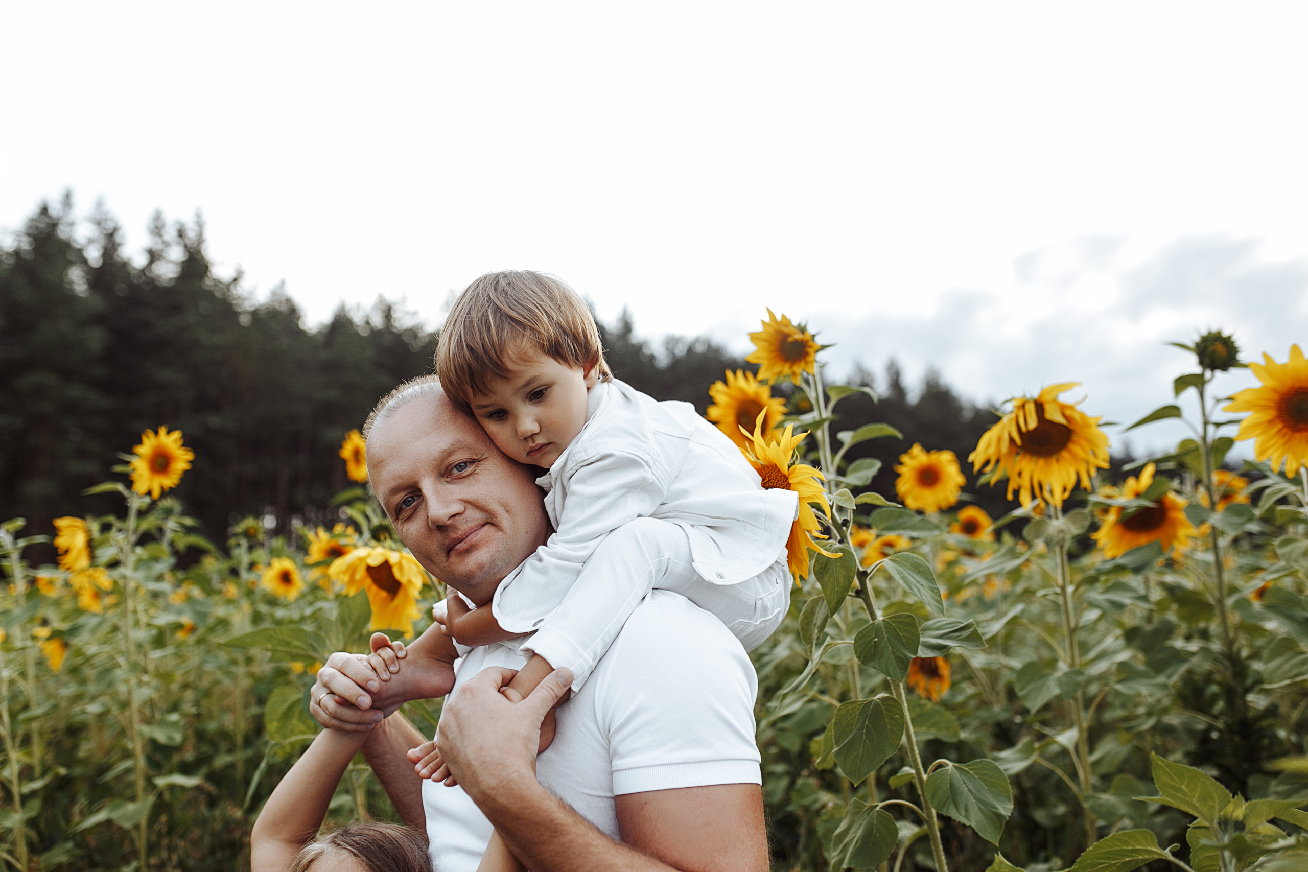 Подсолнухи. Свадебный фотограф Екатерина Худякова — Ярославль, Санкт-Петербург, Москва
