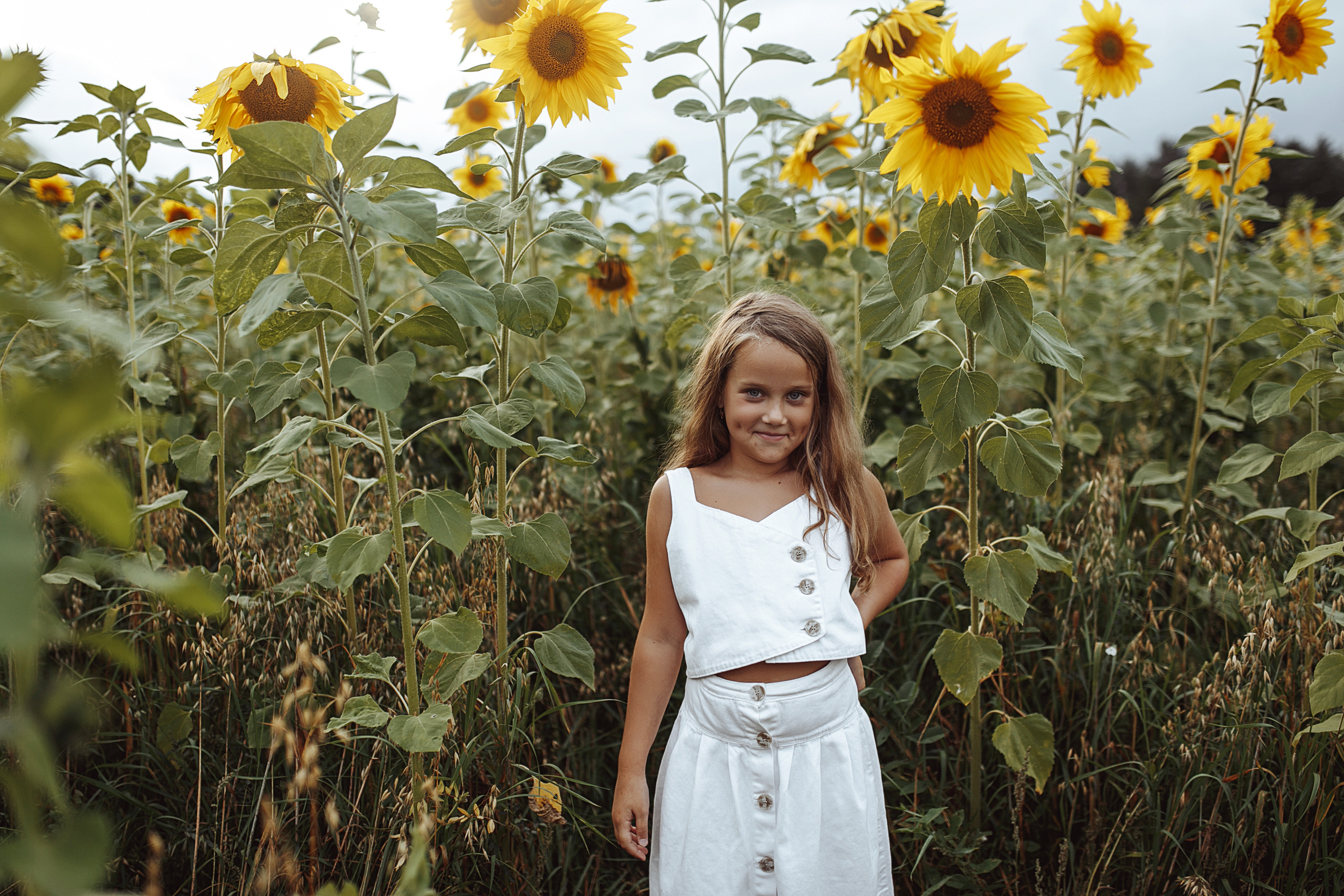 Подсолнухи. Свадебный фотограф Екатерина Худякова — Ярославль, Санкт-Петербург, Москва
