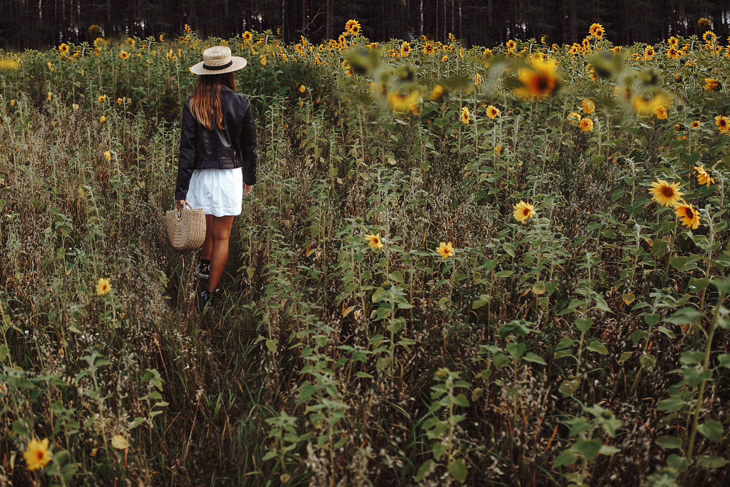Подсолнухи. Свадебный фотограф Екатерина Худякова — Ярославль, Санкт-Петербург, Москва