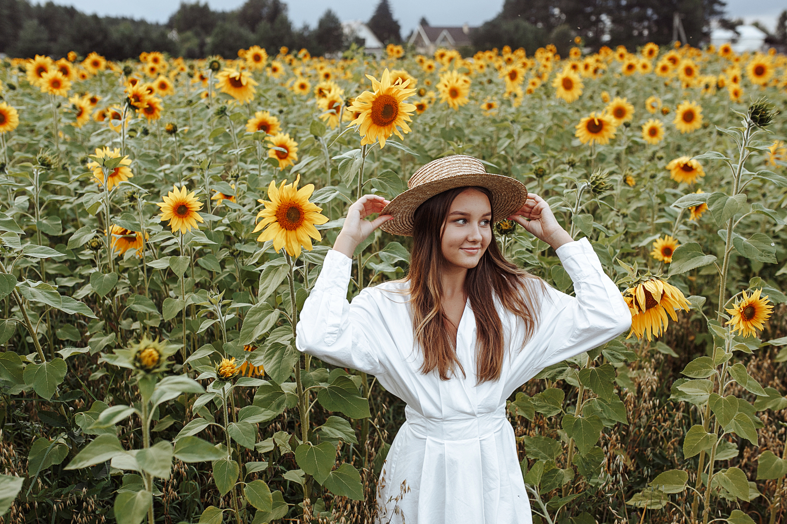 Подсолнухи. Свадебный фотограф Екатерина Худякова — Ярославль, Санкт-Петербург, Москва