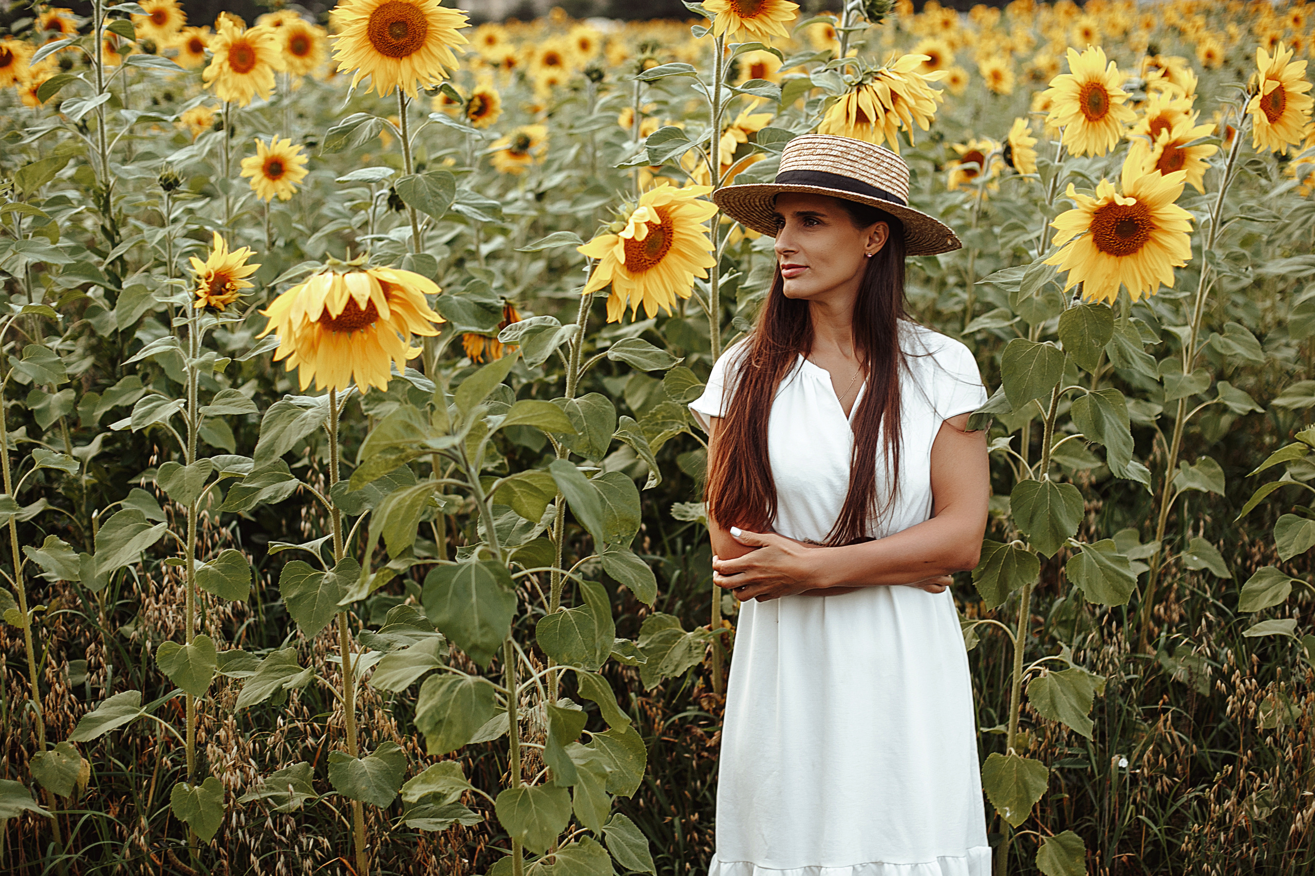 Подсолнухи. Свадебный фотограф Екатерина Худякова — Ярославль, Санкт-Петербург, Москва