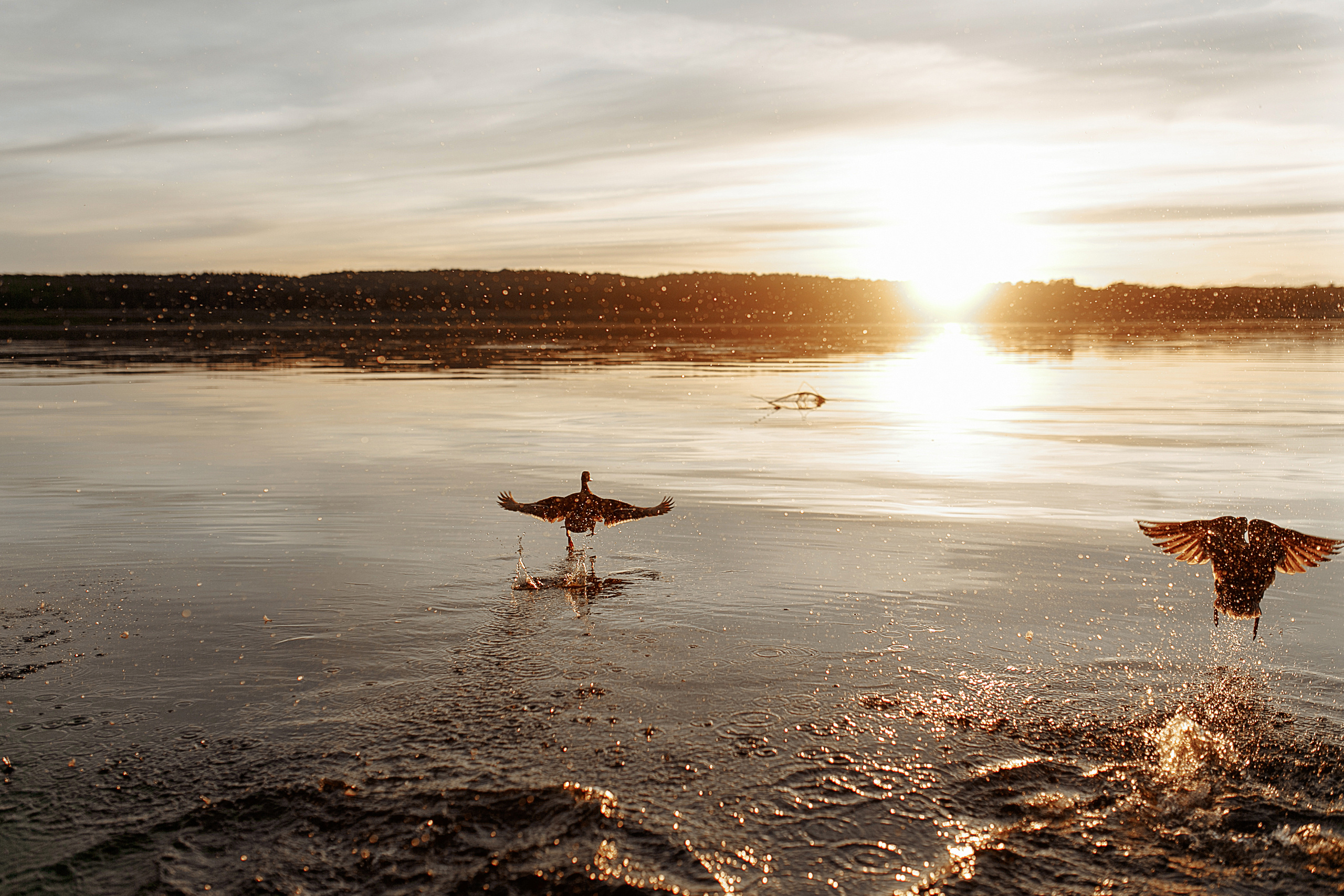 Александра, Павел и Артемий. Свадебный фотограф Екатерина Худякова — Ярославль, Санкт-Петербург, Москва
