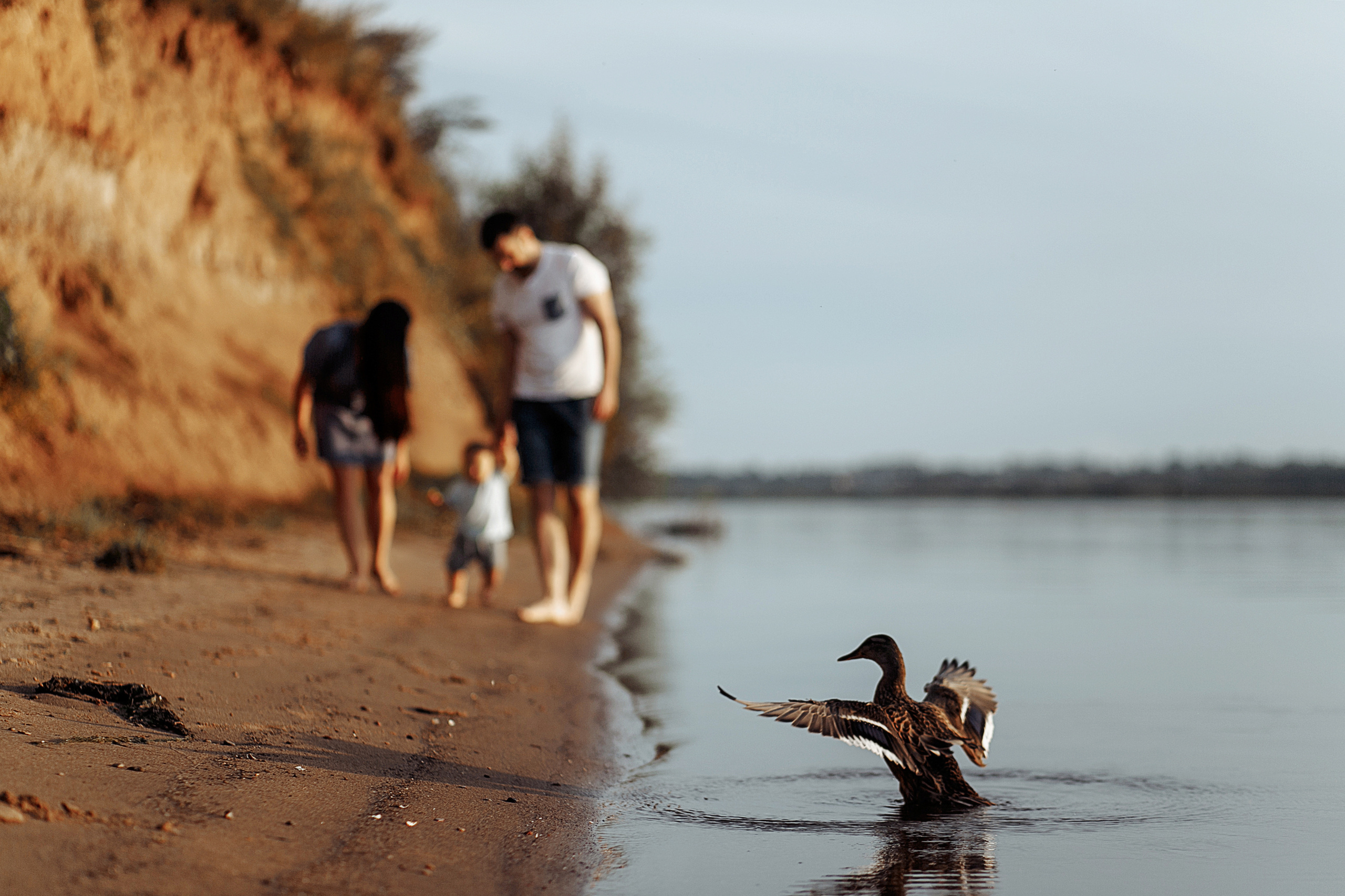 Александра, Павел и Артемий. Свадебный фотограф Екатерина Худякова — Ярославль, Санкт-Петербург, Москва