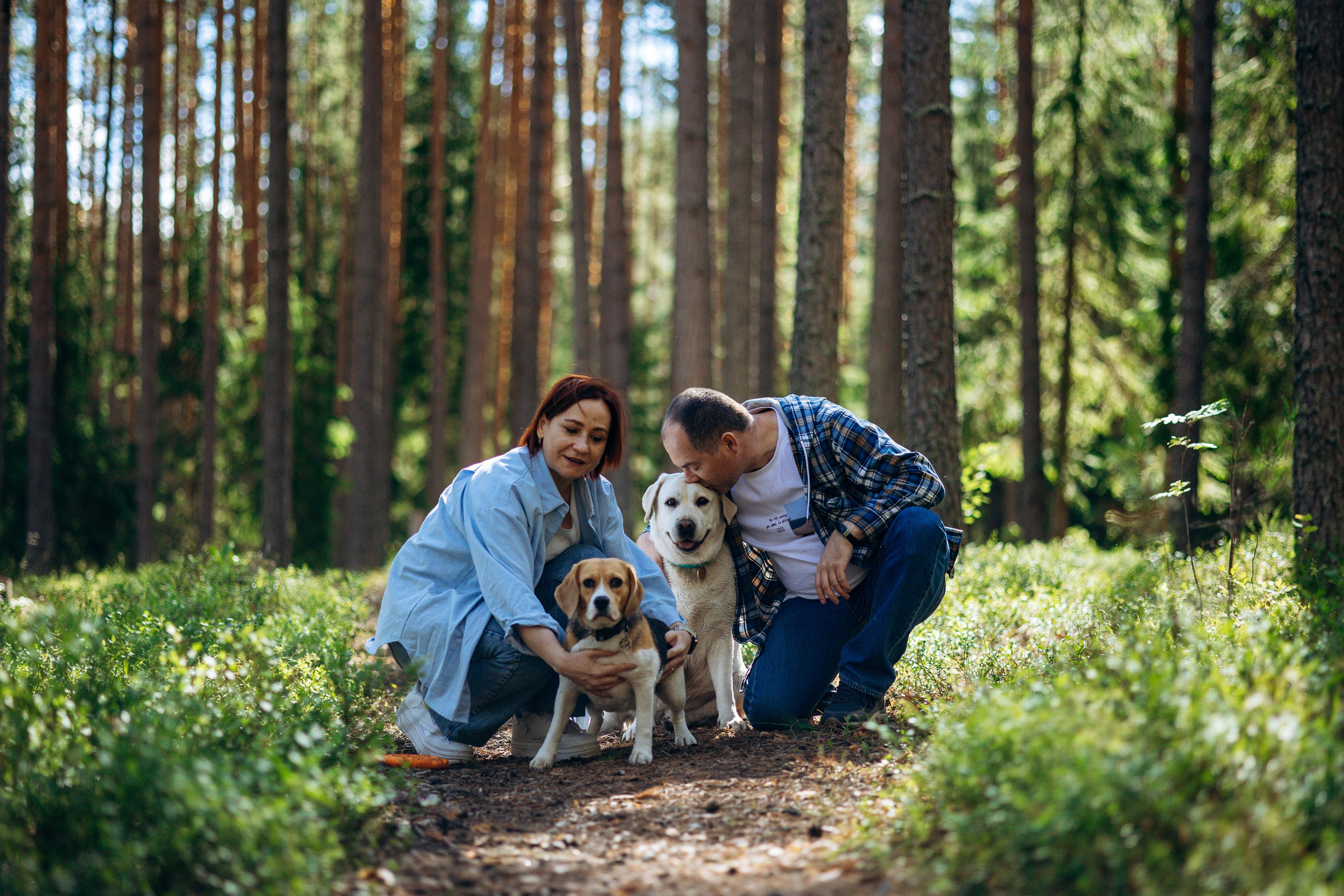 Котофеи и их семья. Фотограф — Анималист | Санкт-Петербург
