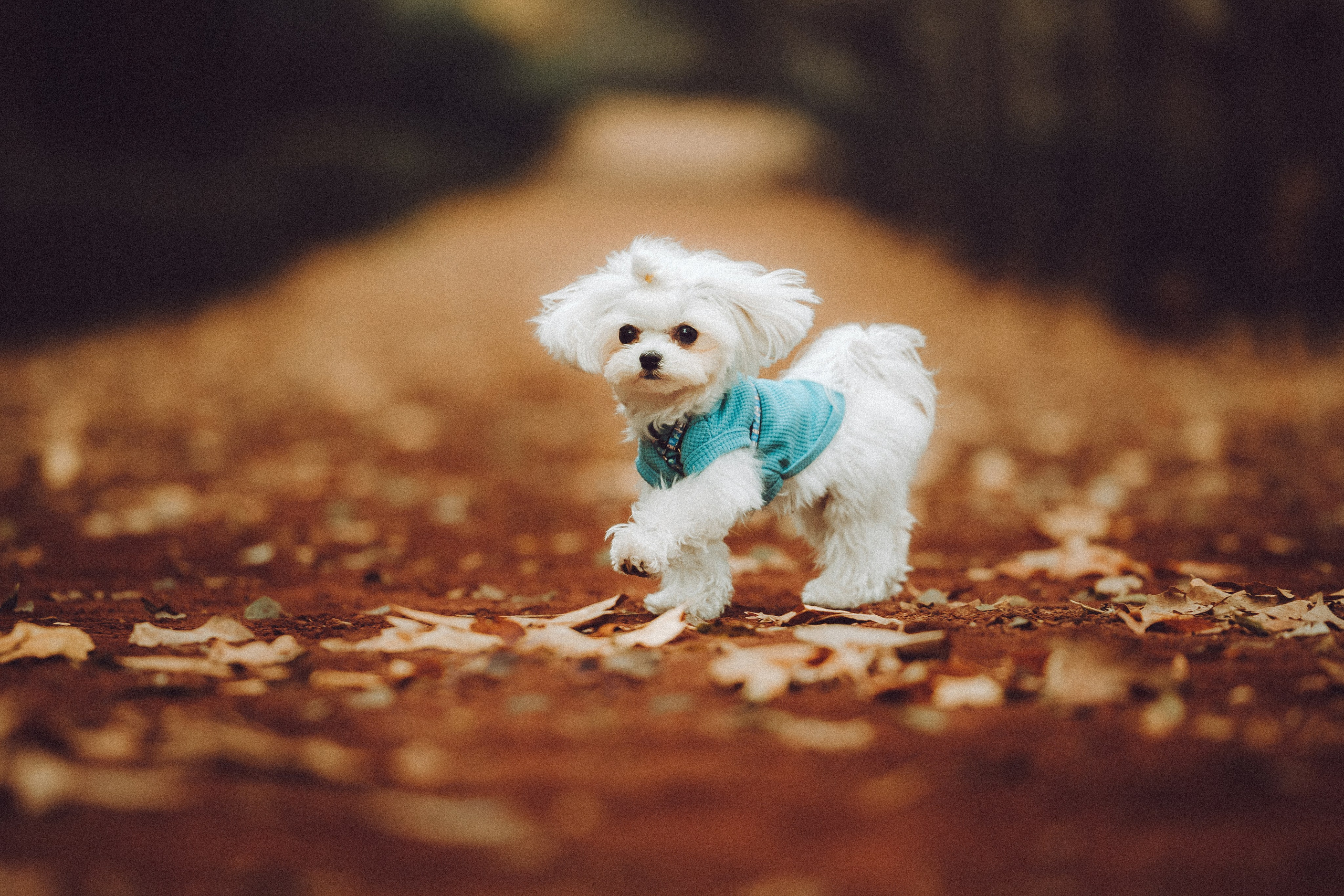 Настя и Гоша