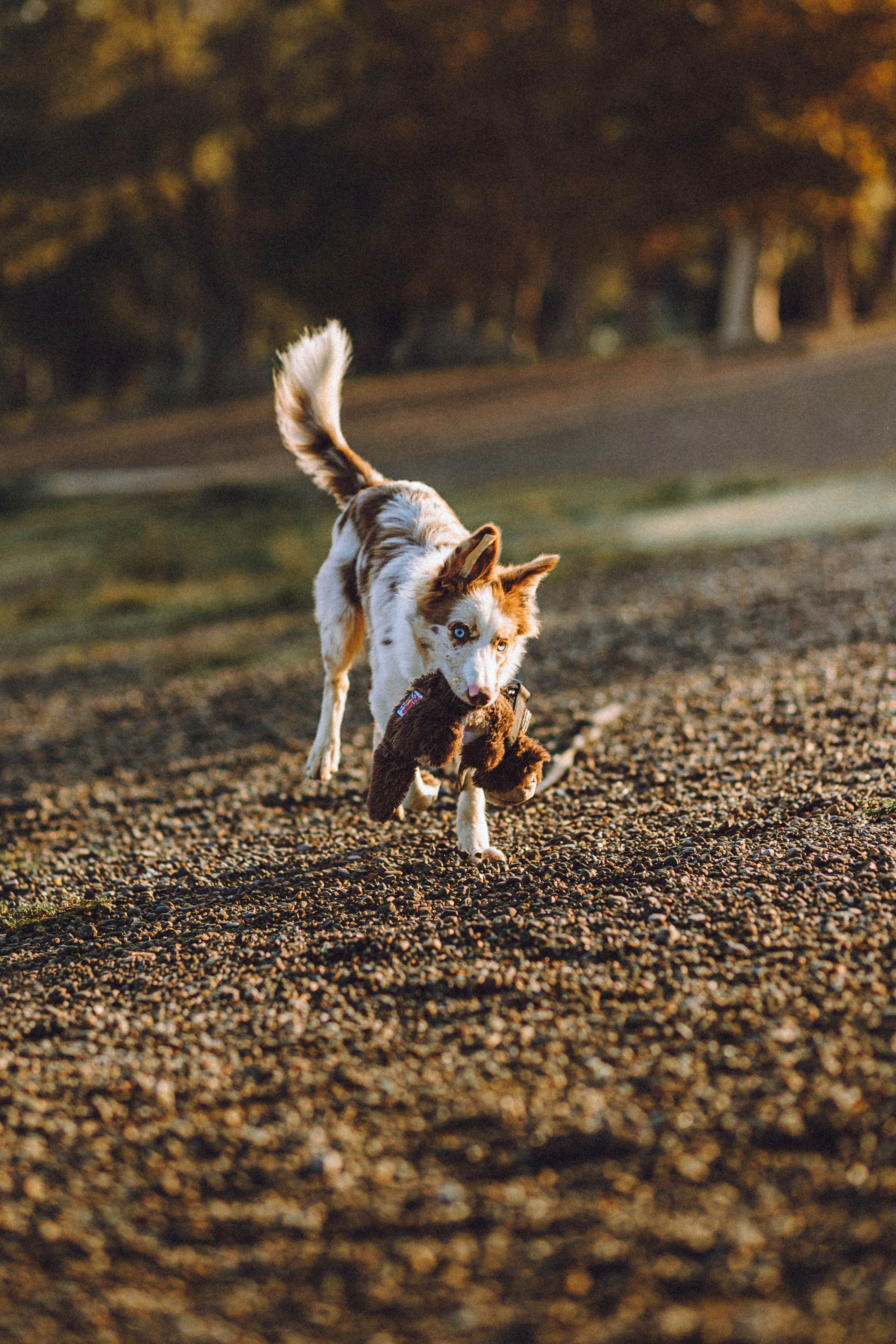 Оля, Саша и Айко