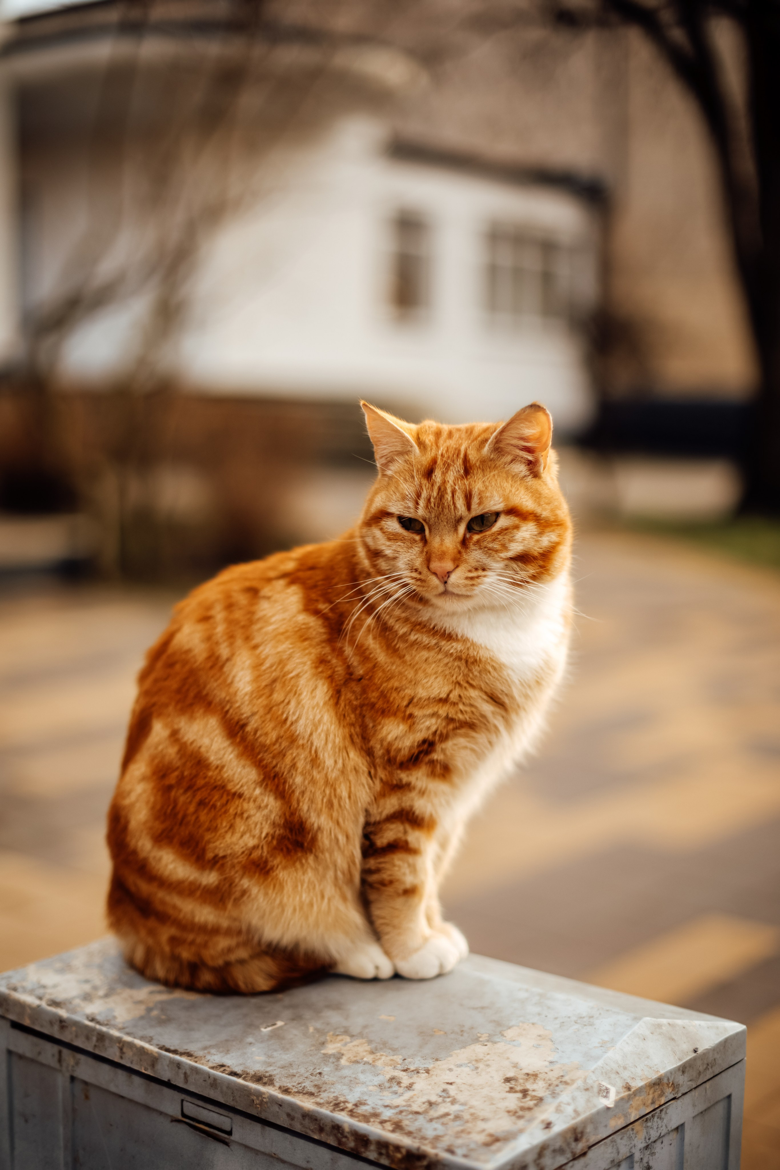 Зеленоградск. Свадебный и семейный фотограф/видеограф в Краснодаре Наталья Осинская