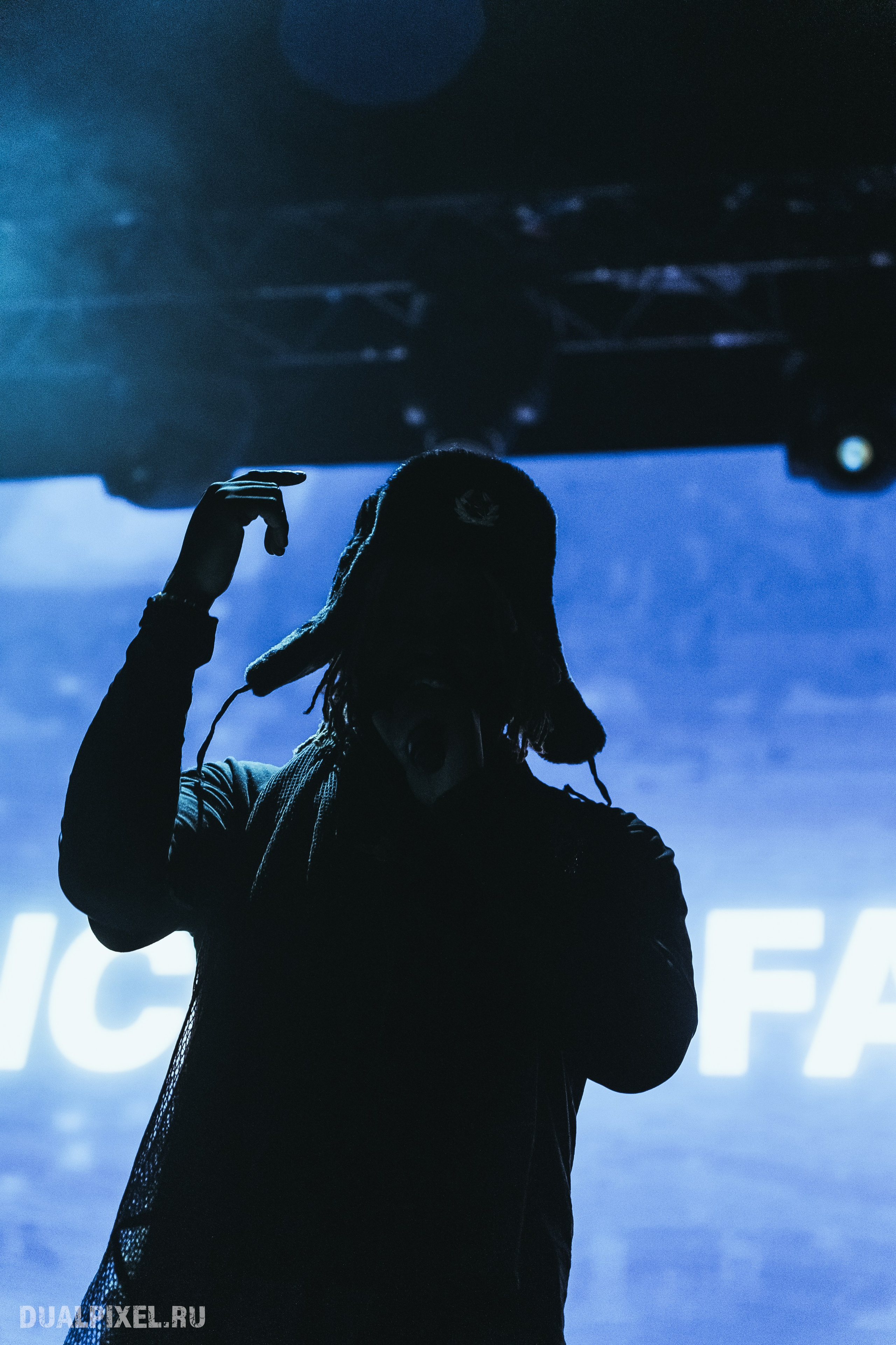 Prince Of Falls. Магия музыки в кадре: Концертная Фотография