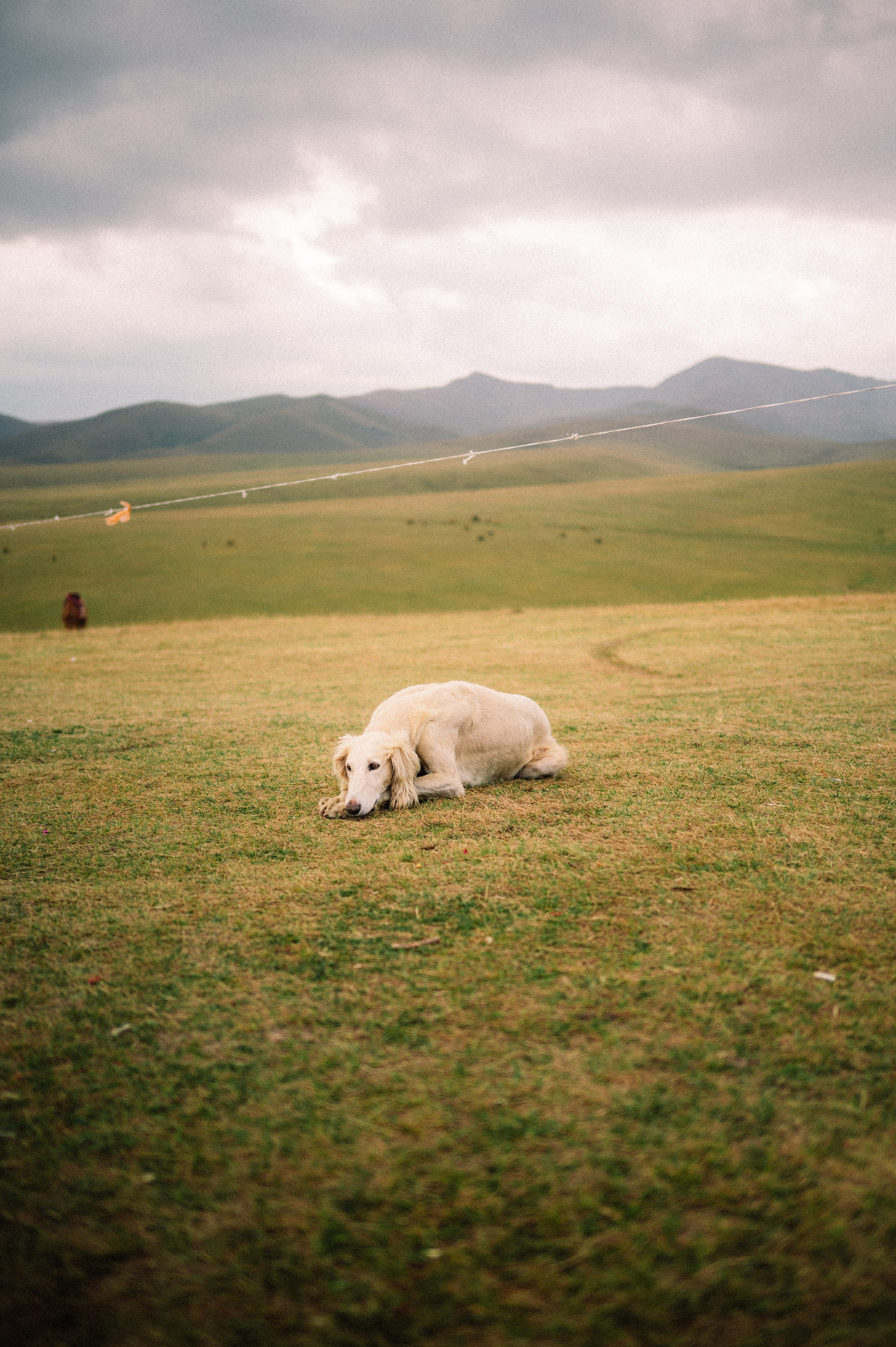Плато Ассы: июль 2025. Фотограф в Алматы — Дарья Фёдорова