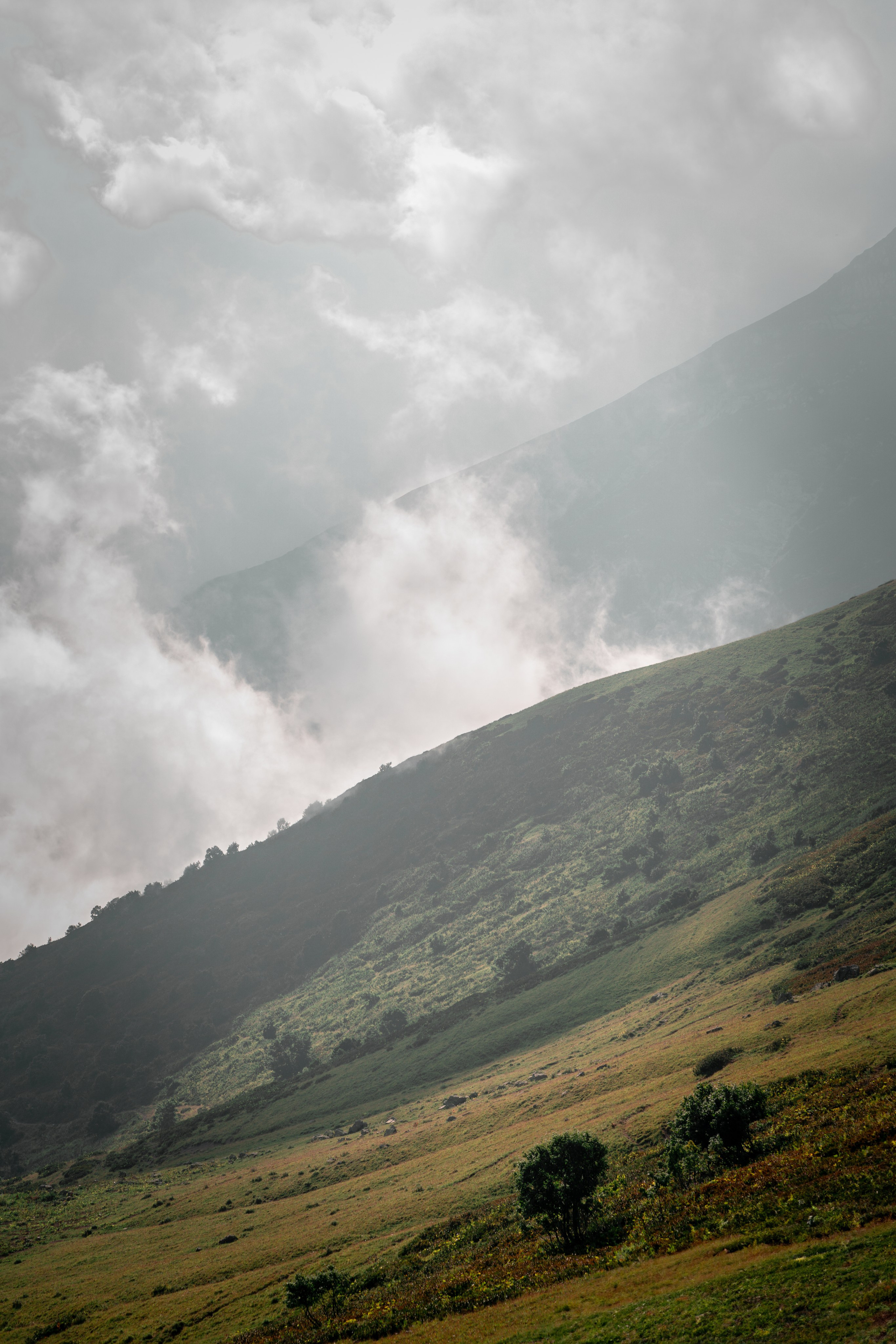 Сочи. Фотограф Александра Волкова | Волгоград