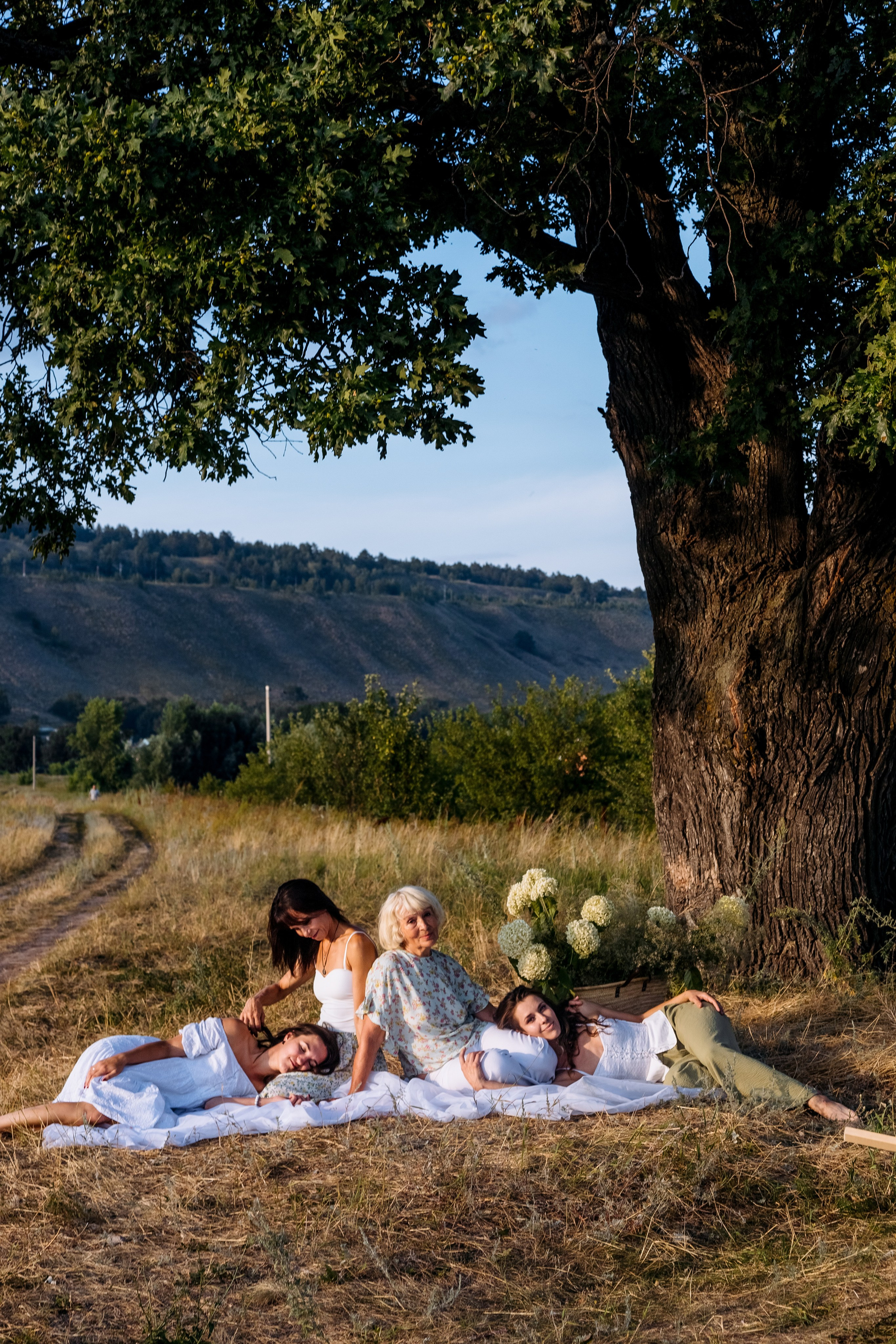 Д р е в о. Romashka photo