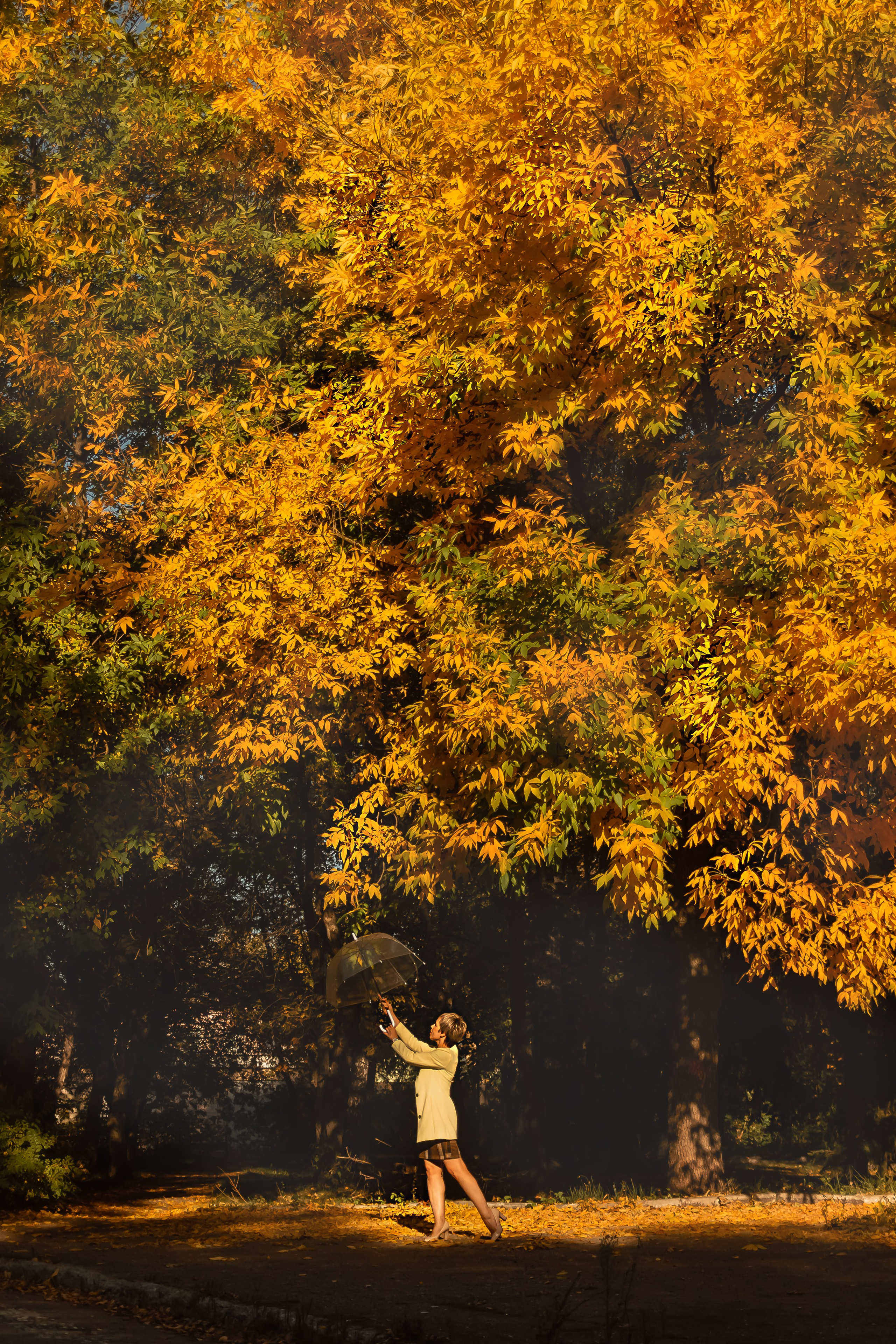 Прекрасная осень. Съемка Таинств Крещения Венчания, детские и семейные съемки в Пензе