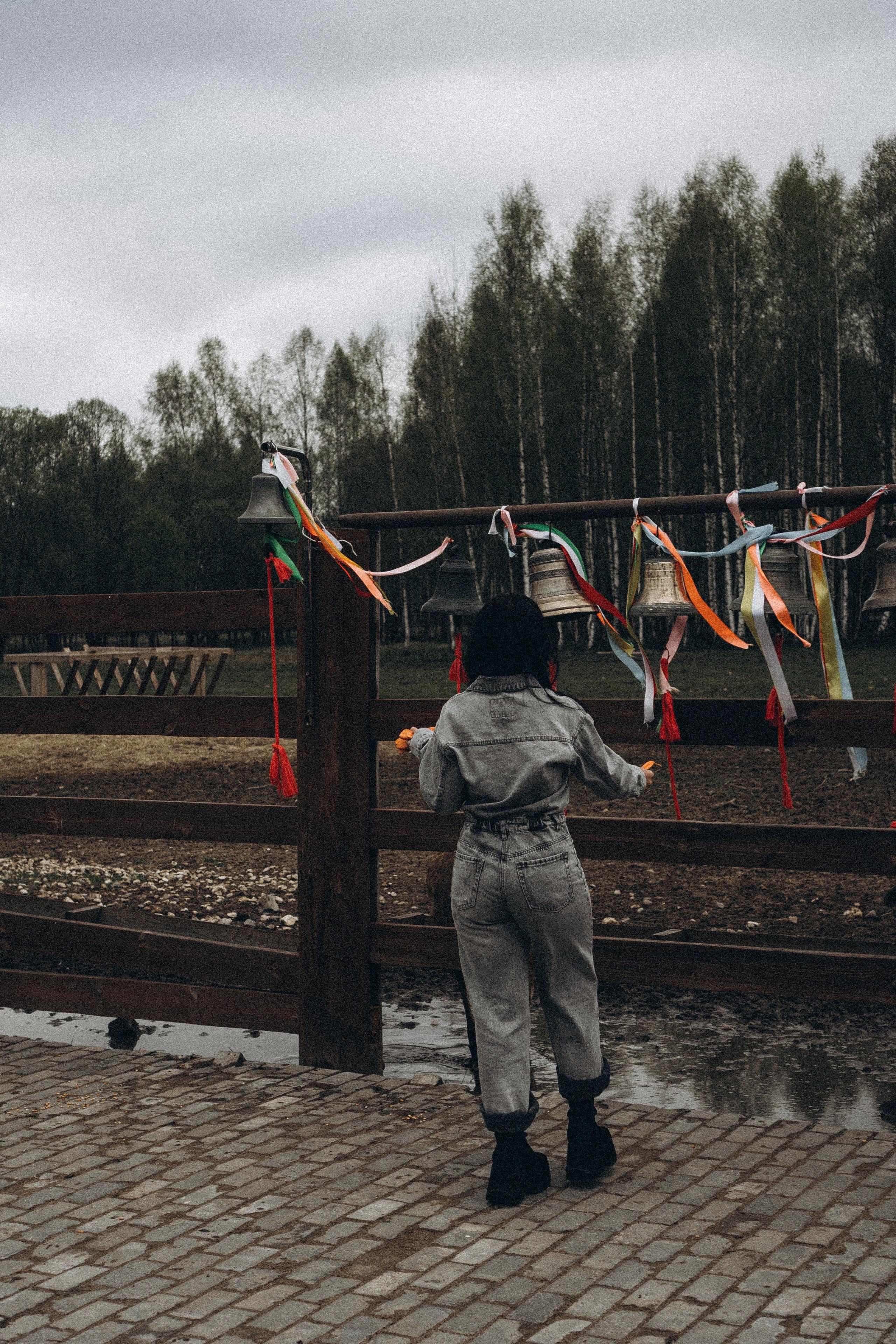 ОЛЕНЬЯ ФЕРМА В ТВЕРИ. Профессиональный фотограф, Санкт-Петербург — Виктория Богомолова