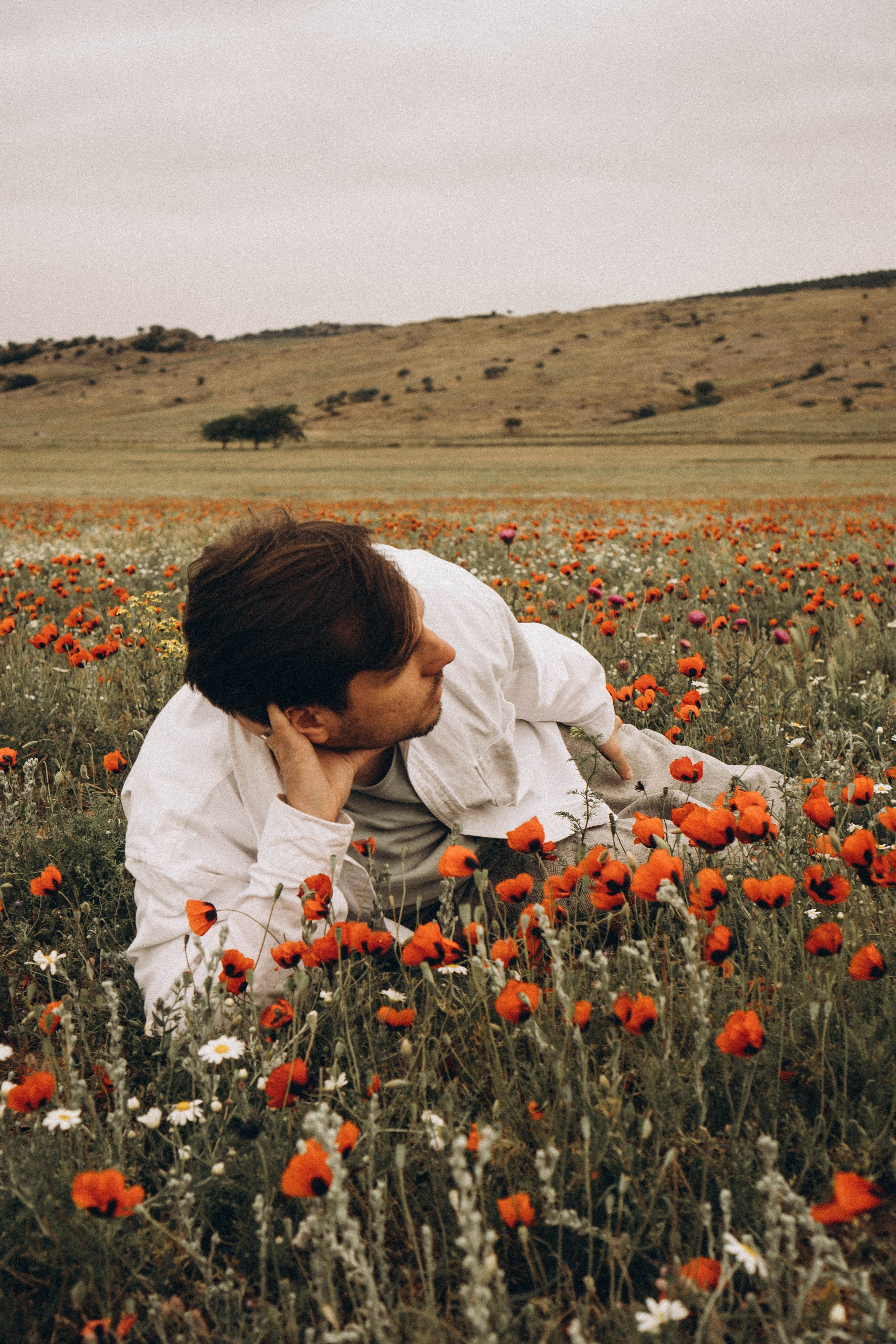 Маки. Профессиональный фотограф, Санкт-Петербург — Виктория Богомолова