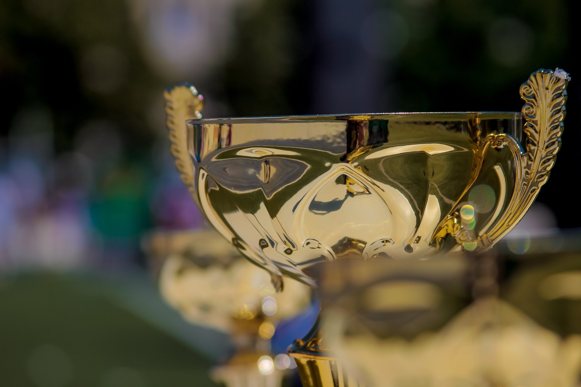 День Физкульт. Максим Матвийченко и Виктория Басова профессионалы своего дела