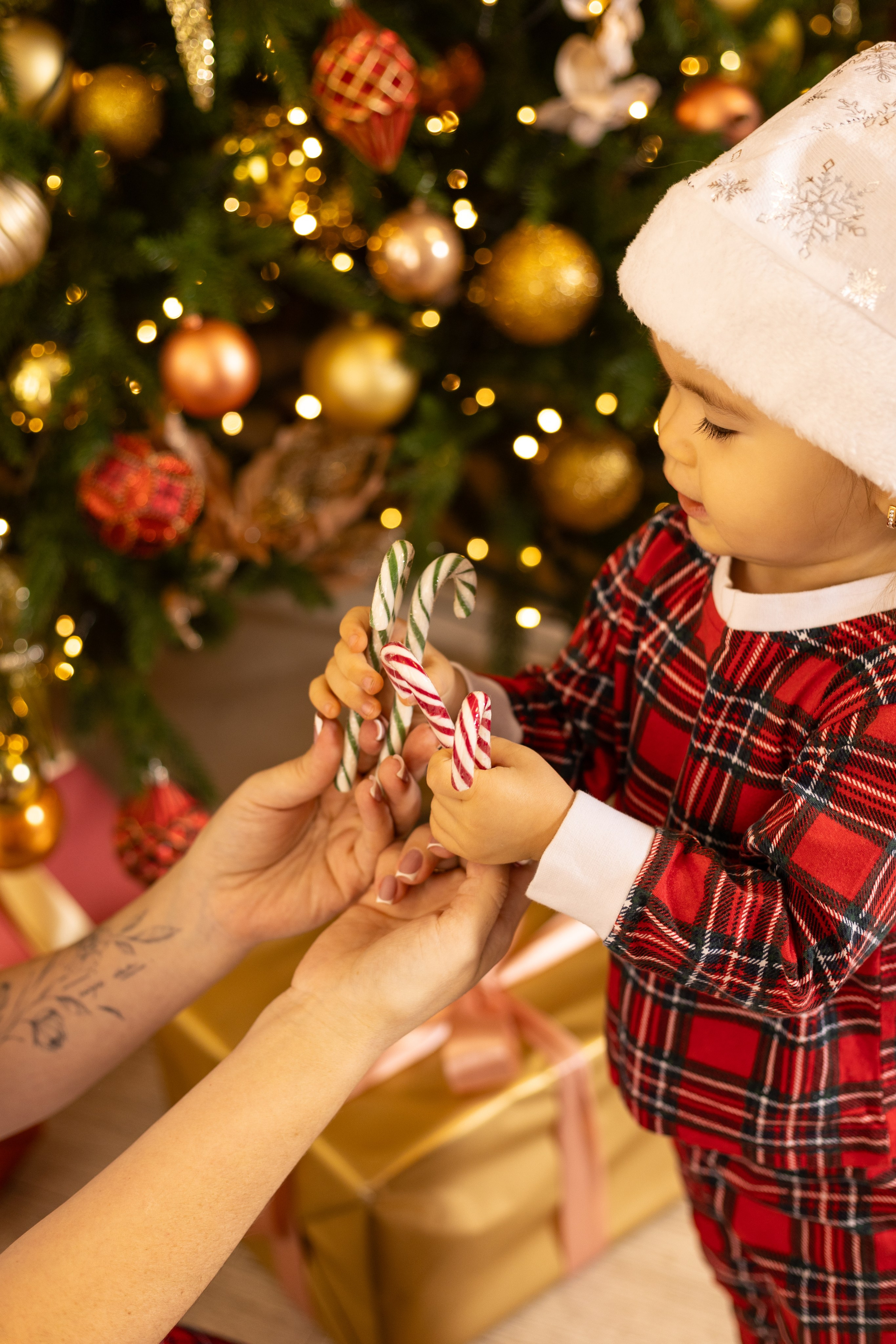 Фотосессия. Профессиональный фотограф в Москве
