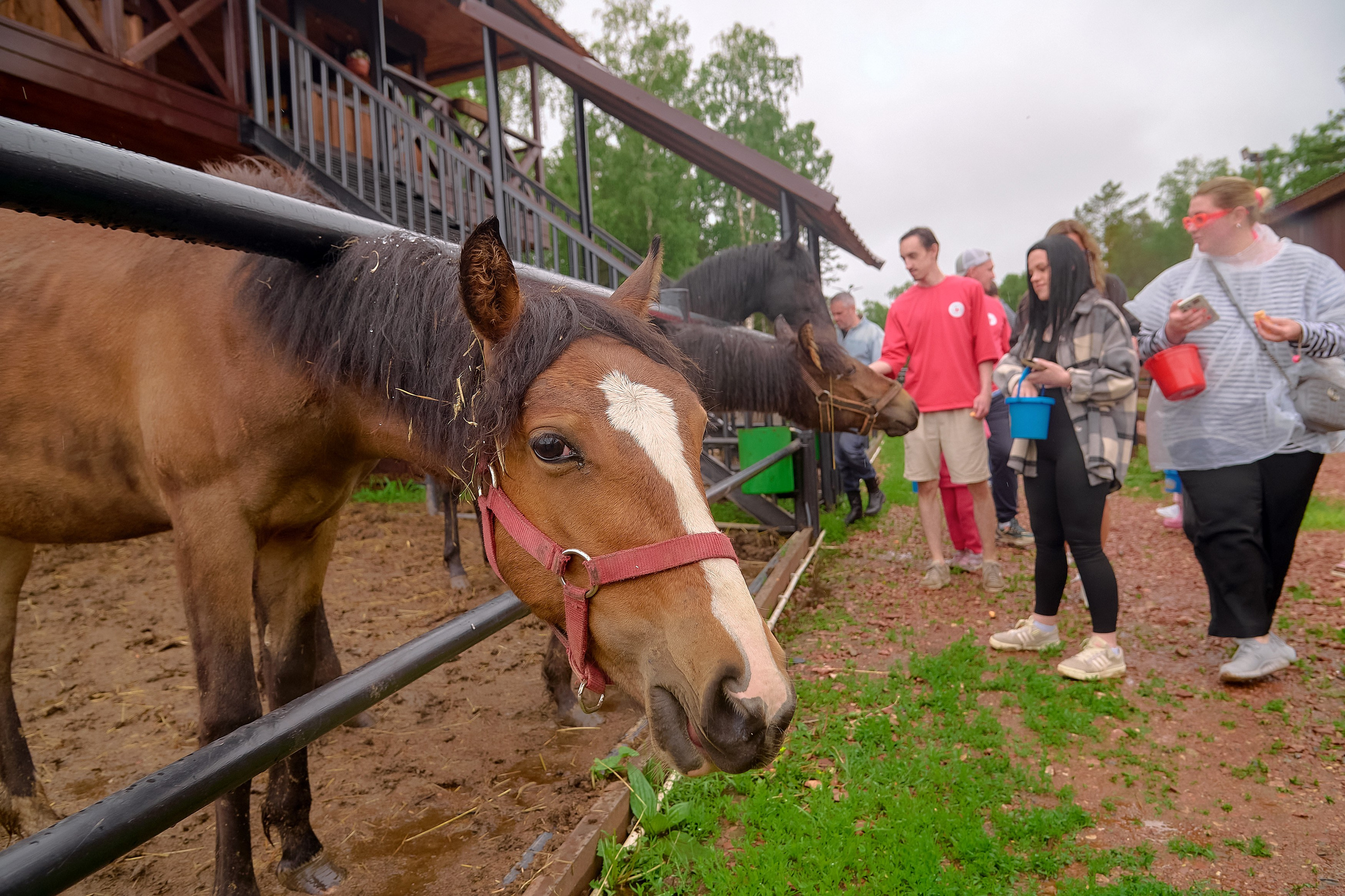 Ранчо «Шарье». Сеть магазинов «Калина-Малина». Фотограф Яковлев Роман — Красноярск