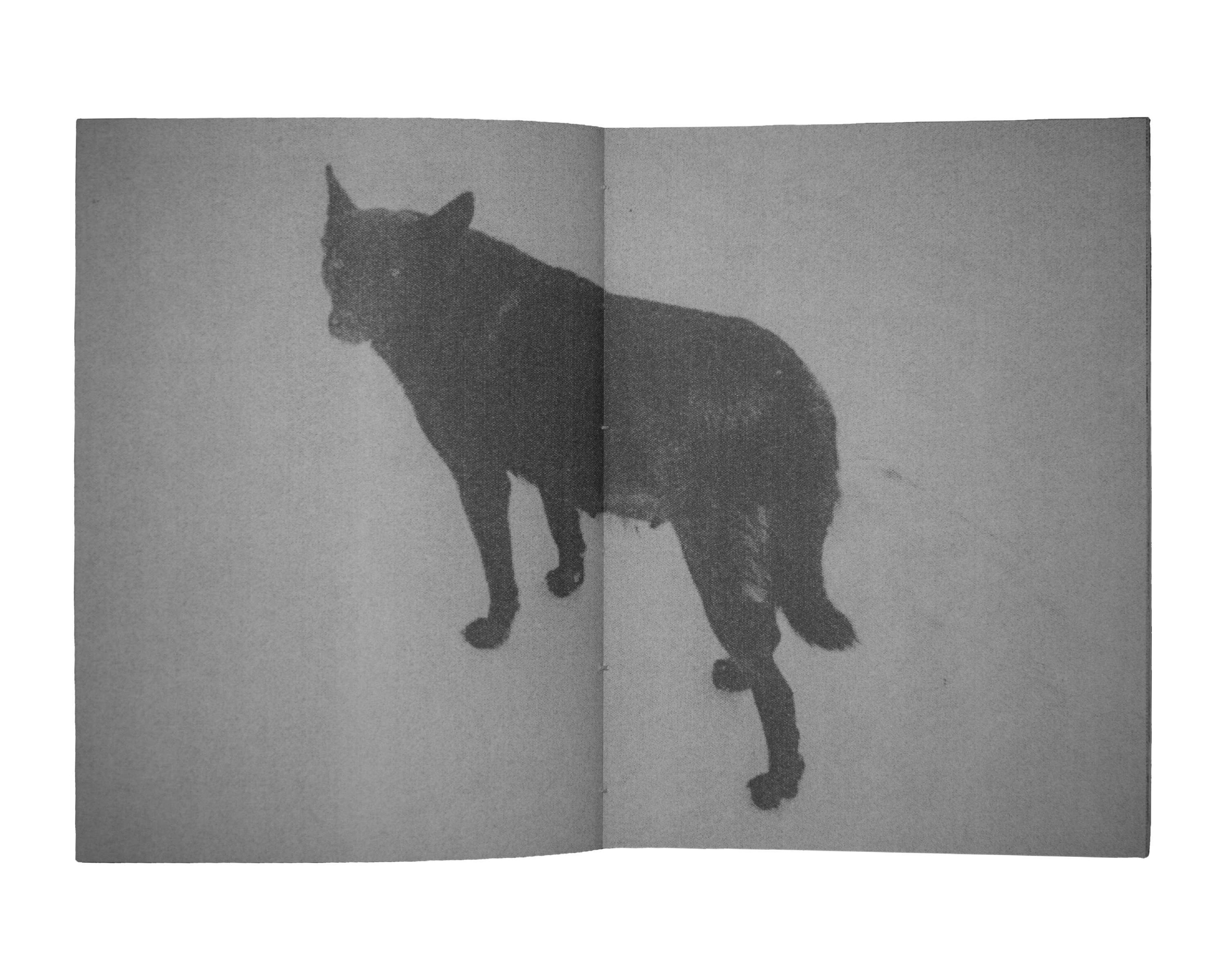 Earldom. Abakan. Maria Pilkevich