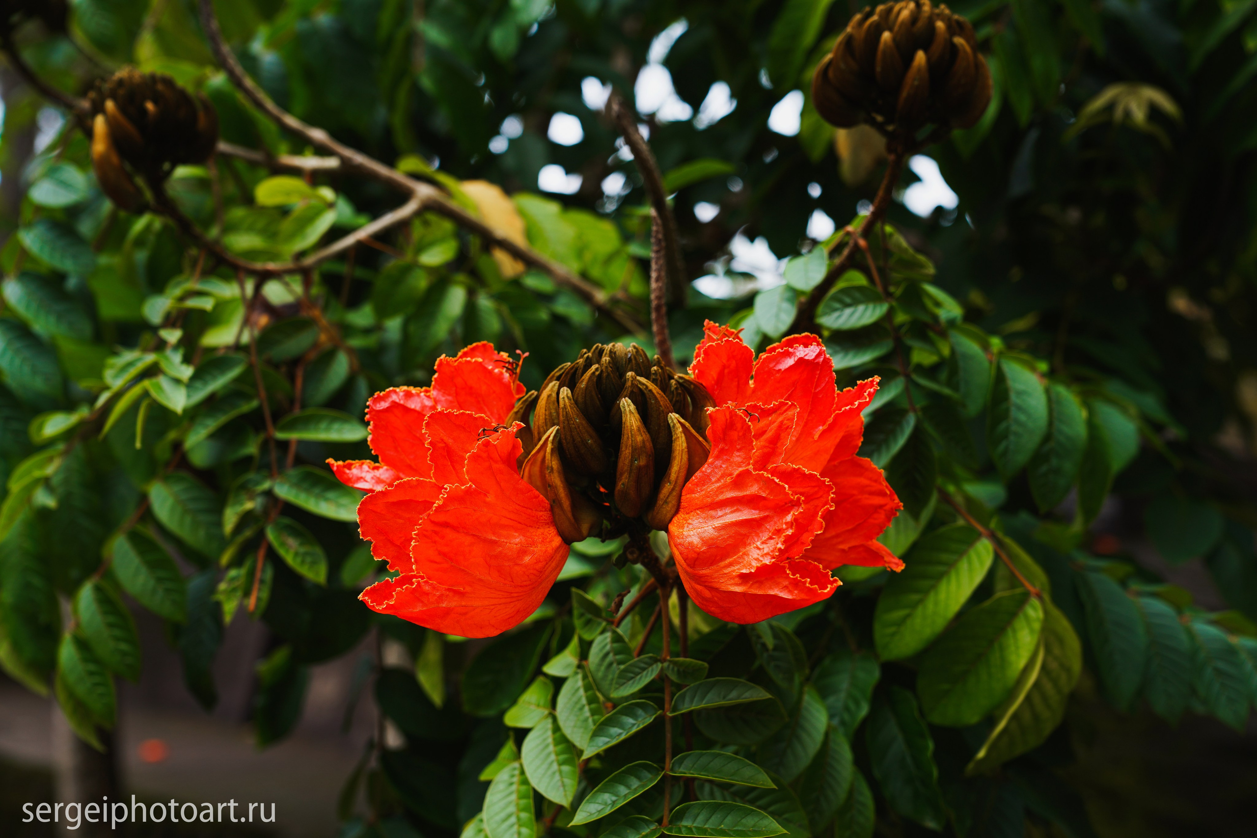 Далат. Фотограф Сергей Кишкель Дананг Нячанг Фукуок