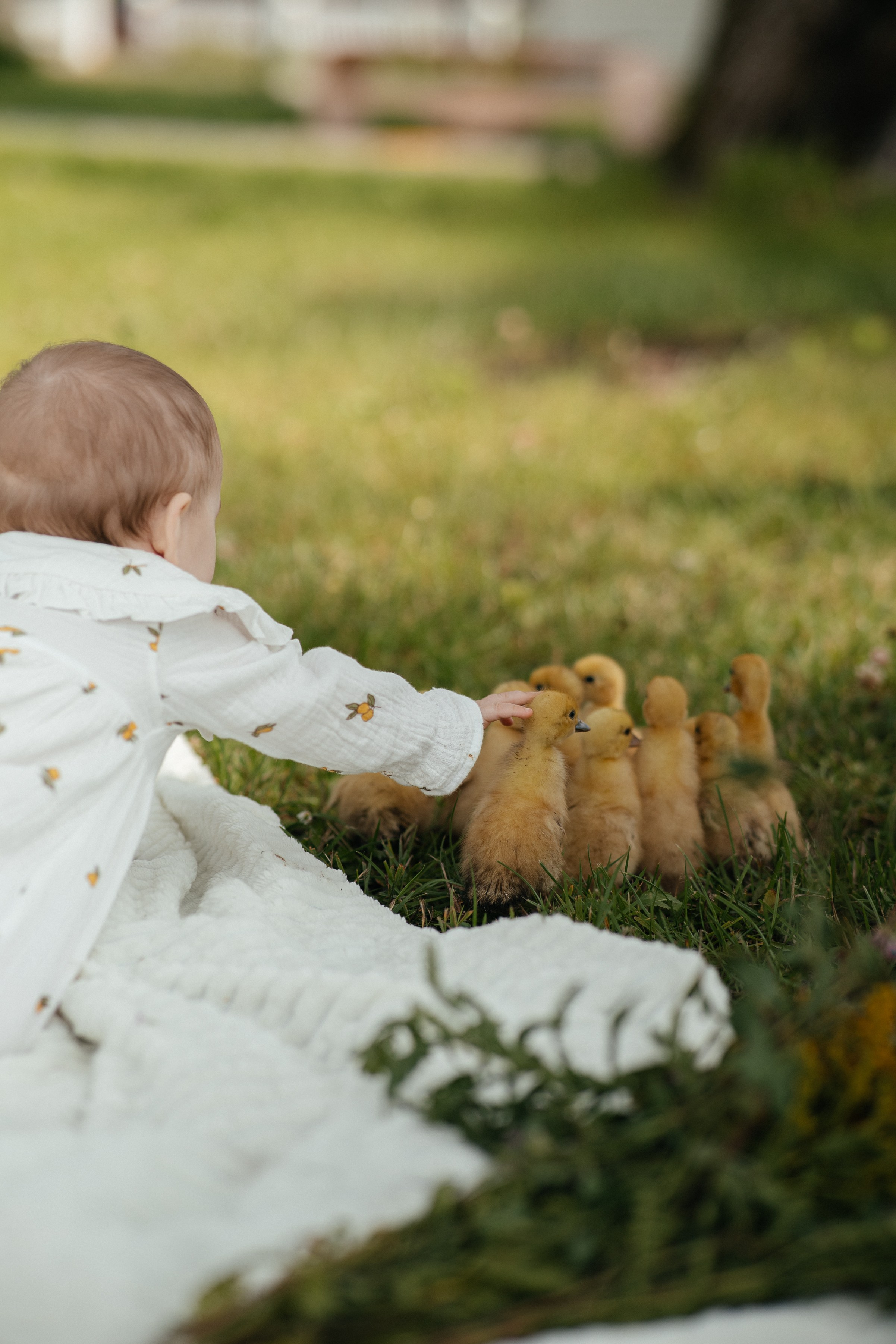 С уточками. Фотограф Ярославль|Кострома|Нерехта Гундерина Светлана