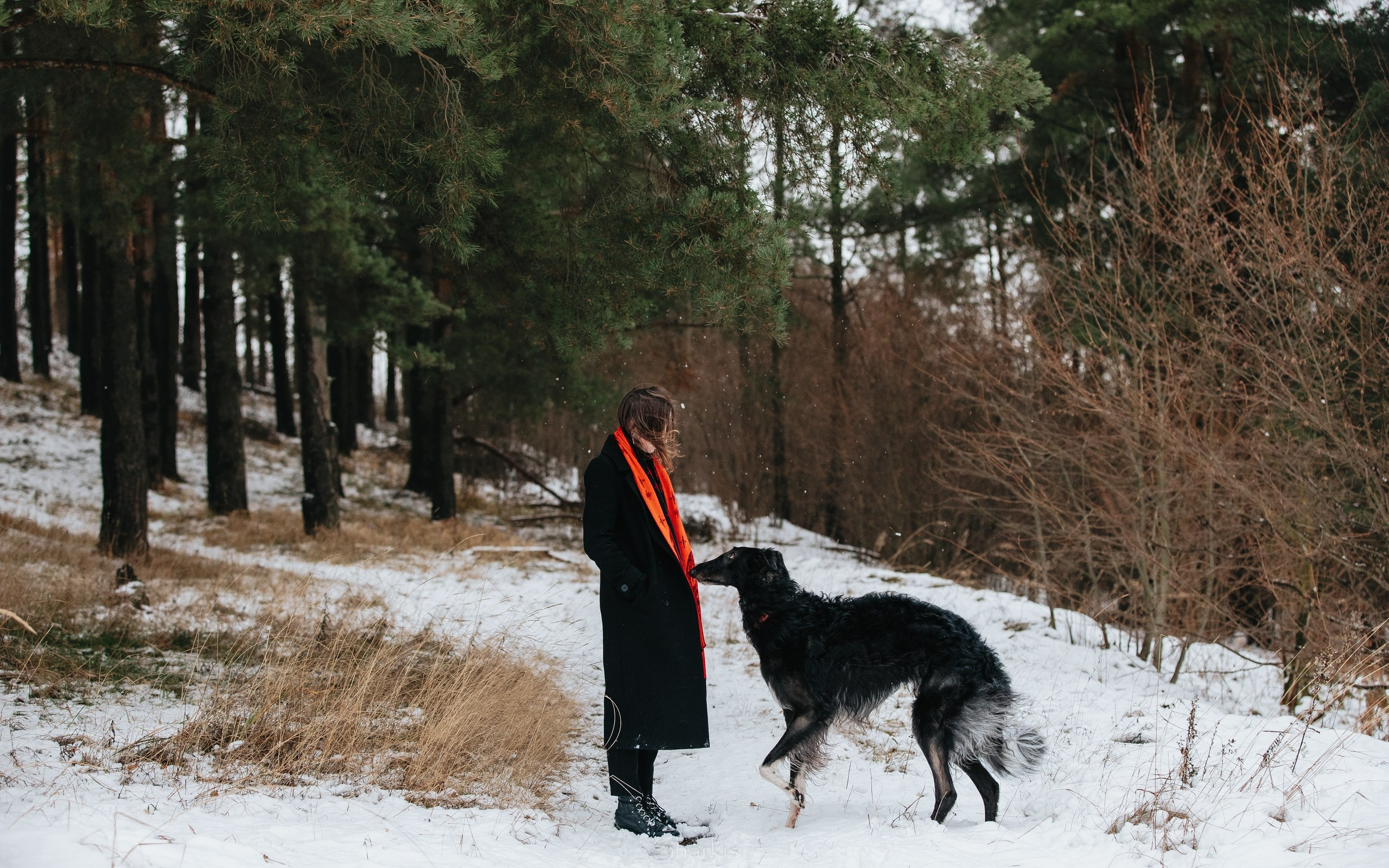 Катя и Гримм. Главная