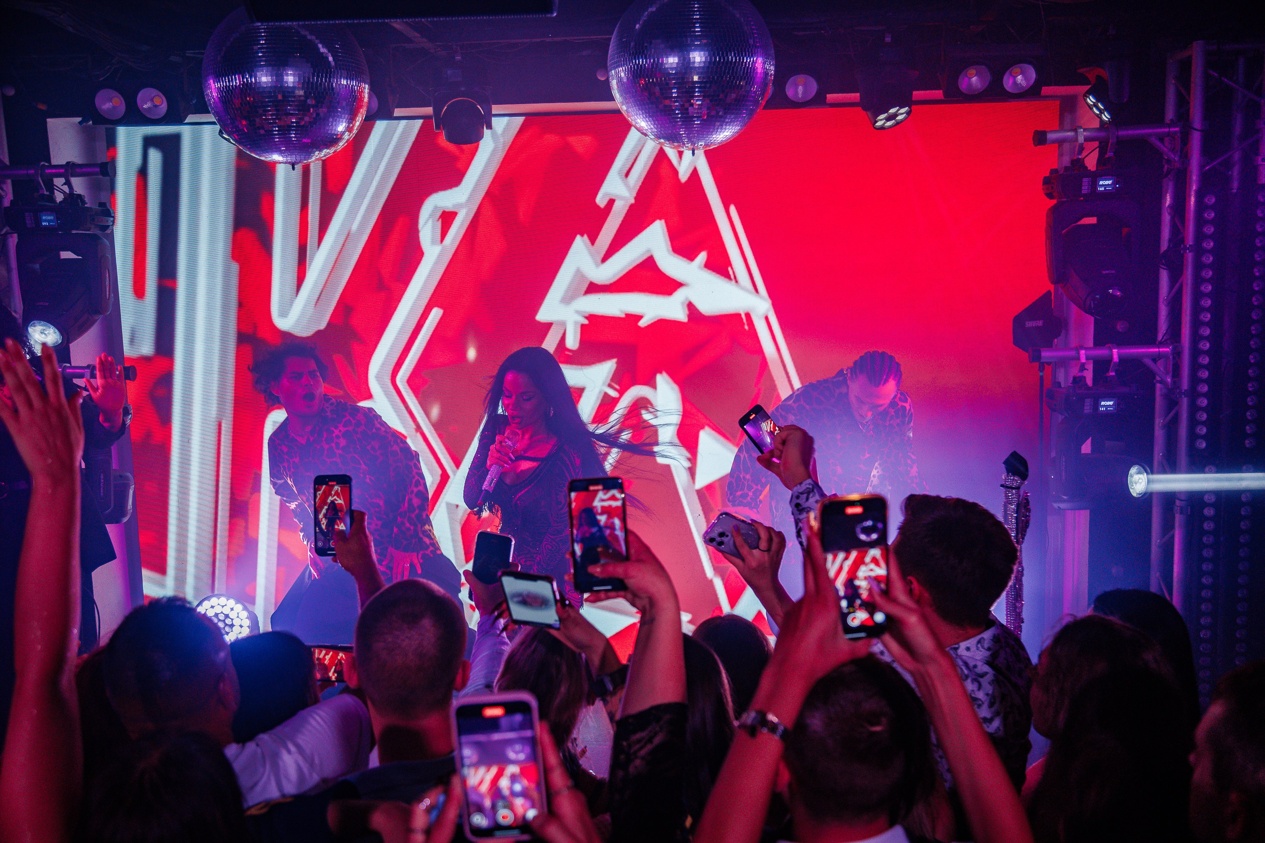 «Бьянка"_Чайка на пляже_Ялта_25.07.2025 г. Аминов Руслан | Фотограф