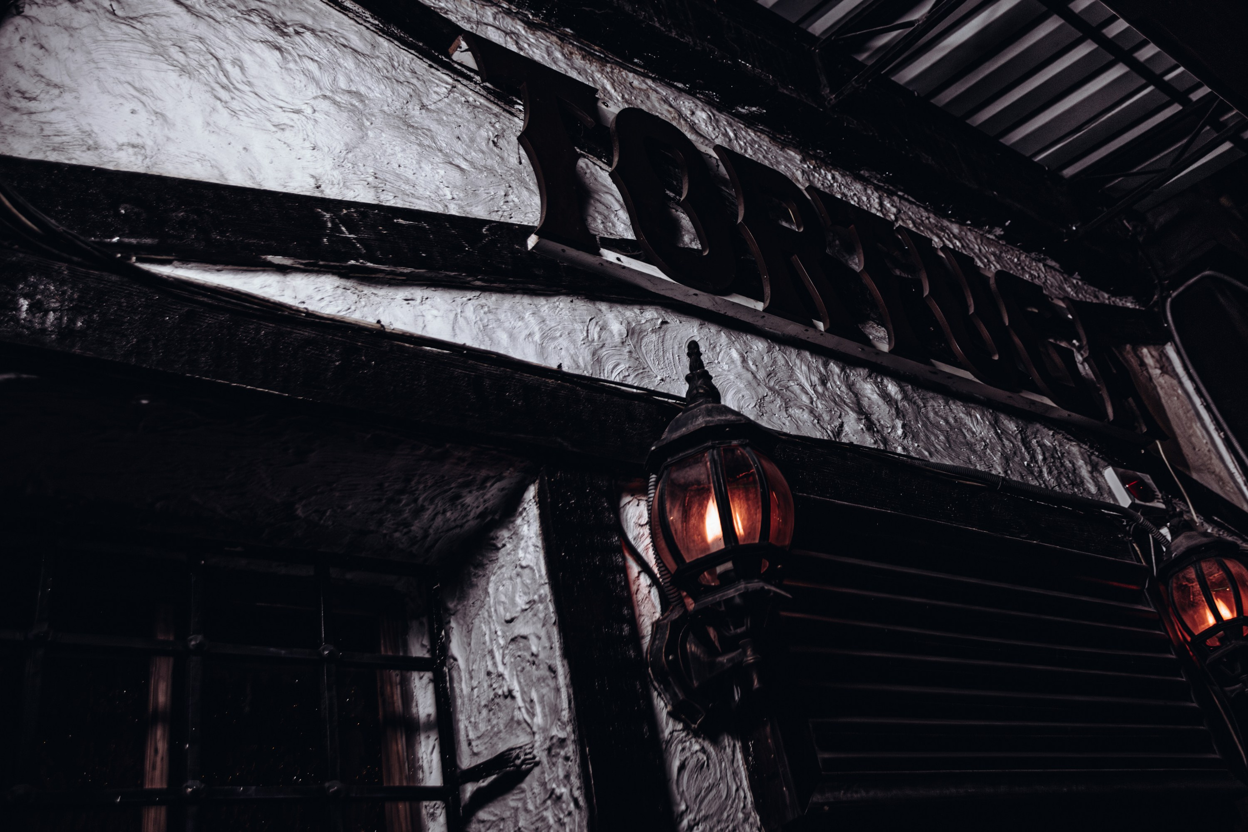 Tortuga_Lambriq_part.1_Симферополь_22.11.2024. Аминов Руслан | Фотограф