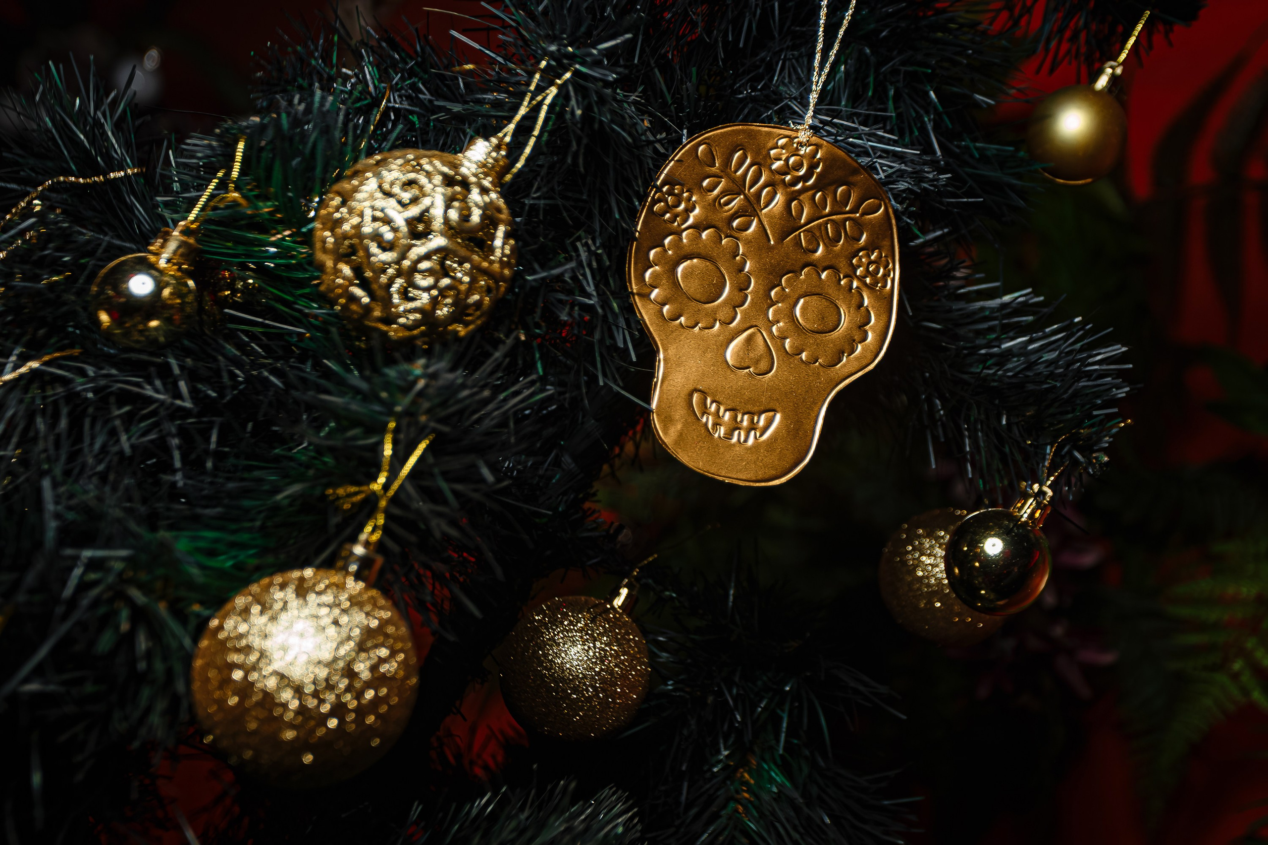 Пятница 13. Сумерки_El Pastor_Симферополь_13.12.2024. Аминов Руслан | Фотограф