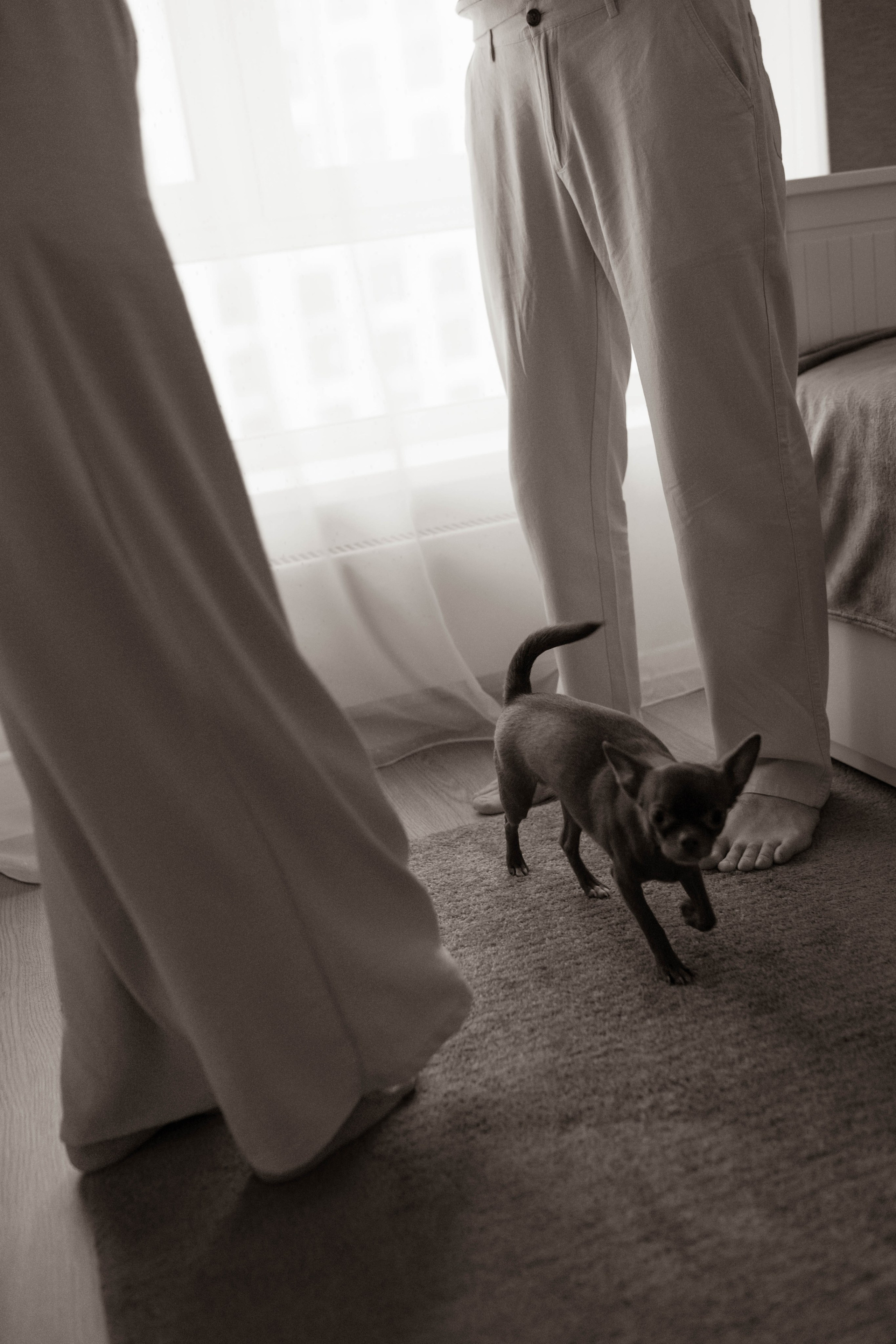 Любовь. Семейный фотограф в Москве и Балашихе Рая Тихая