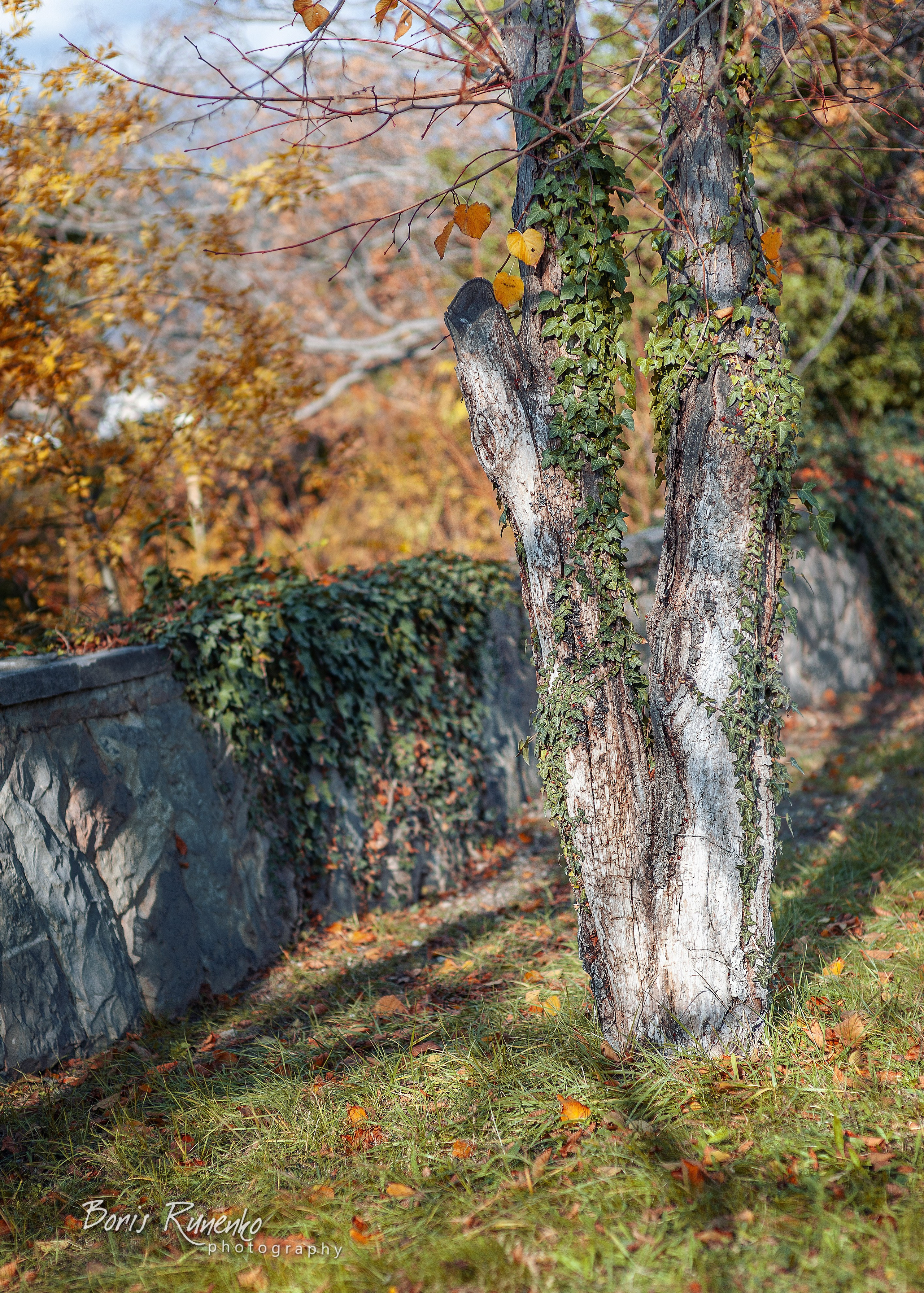 ЧЕРНОМОРСКОЕ ПОБЕРЕЖЬЕ. ОСЕНЬ. Борис Руненко. Пейзажный и travel-фотограф