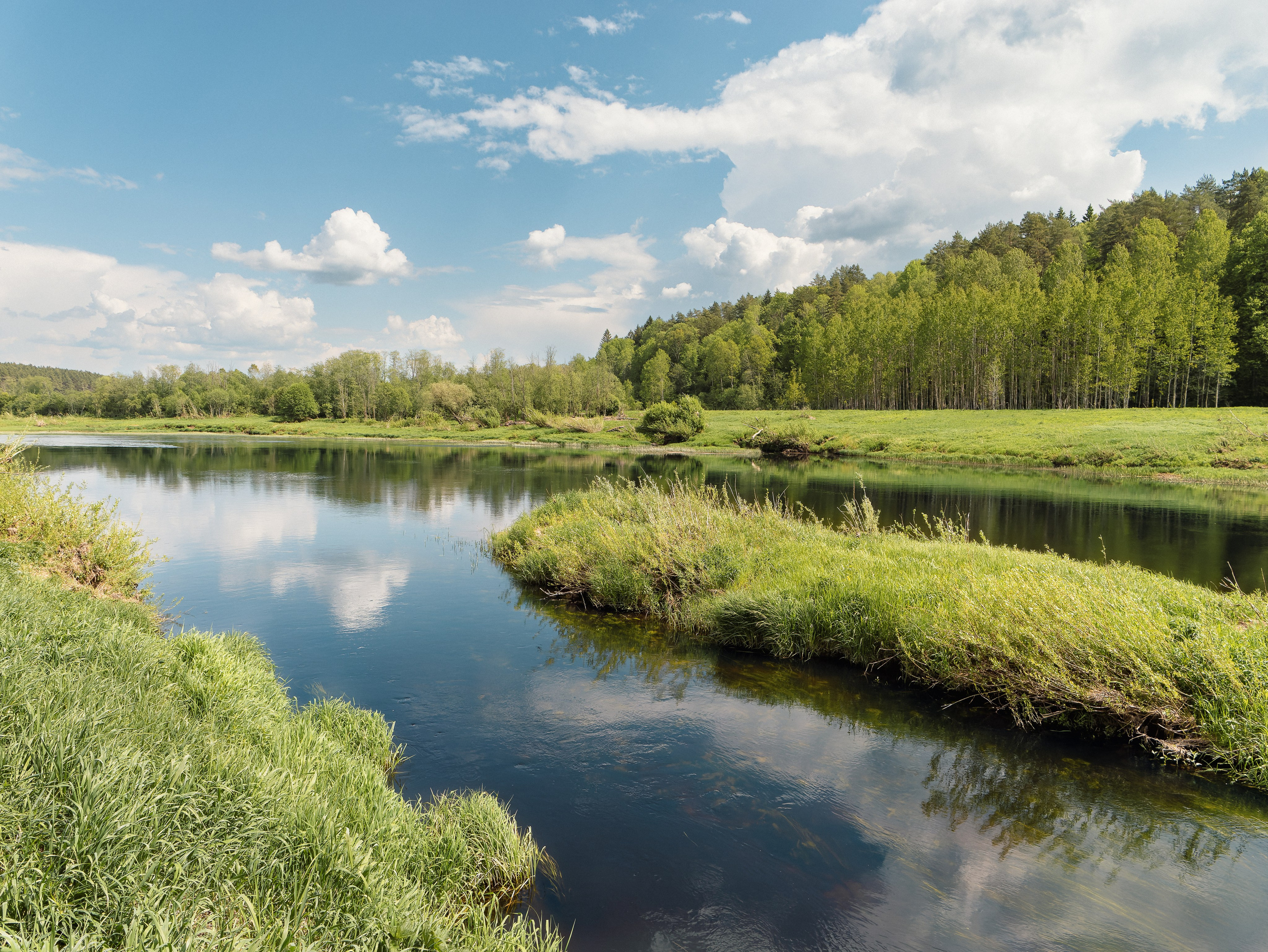 На берегу Угры. Конец мая 2024 года. Фотограф Никифоров-Гордеев Сергей. Москва и МО