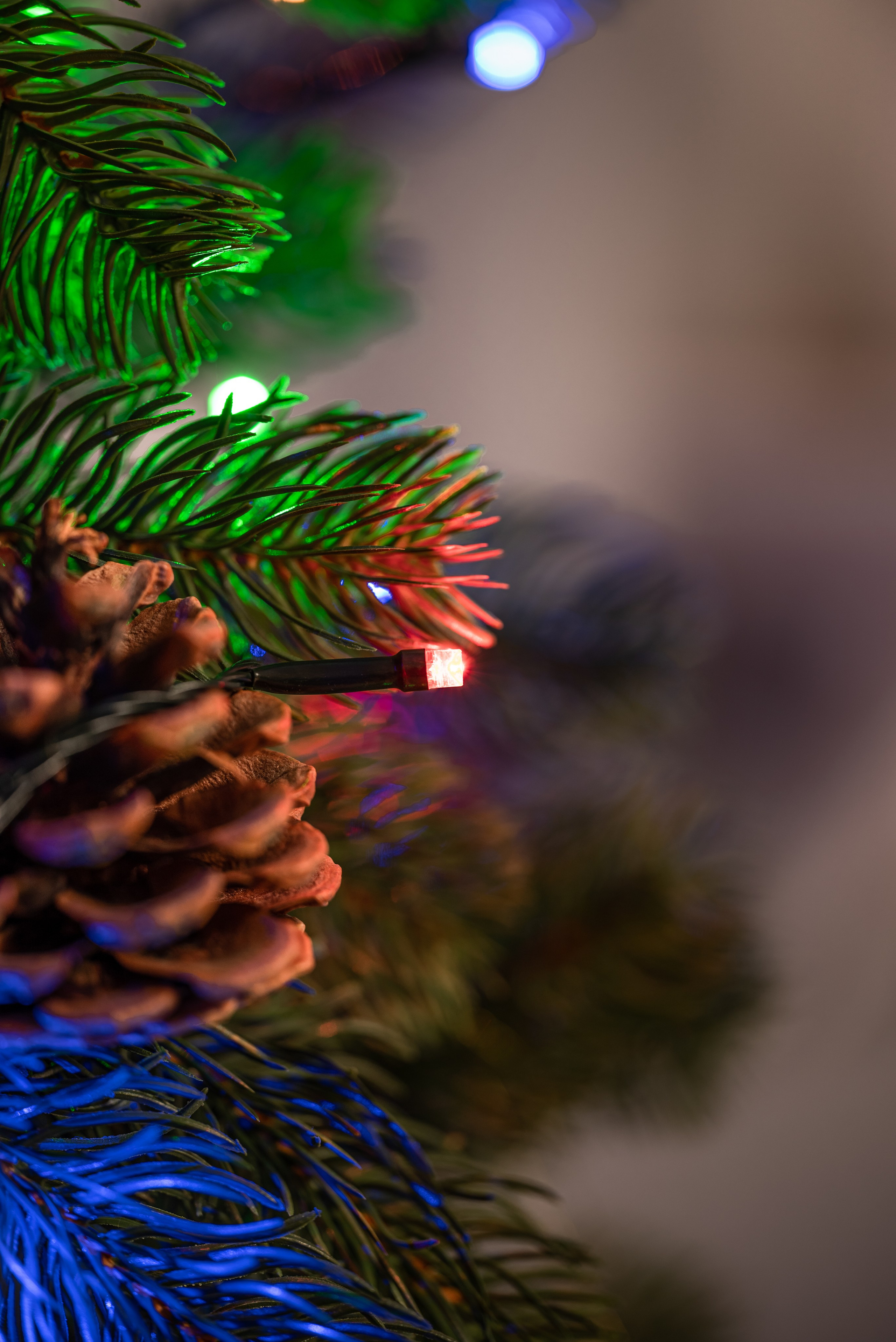 Крупный план гирлянды на елке для карточки товара.