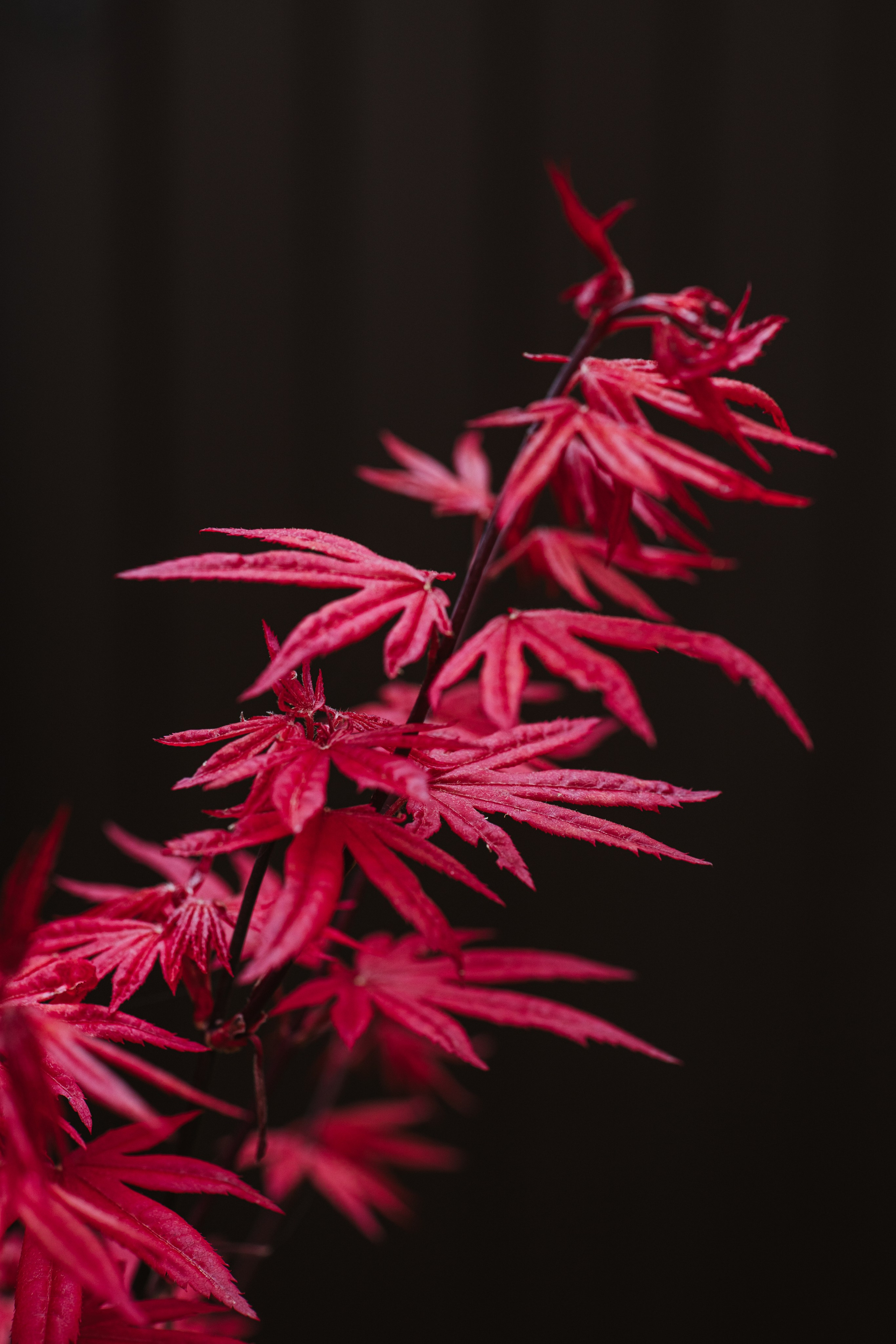 Macro. Фотограф на Юге России