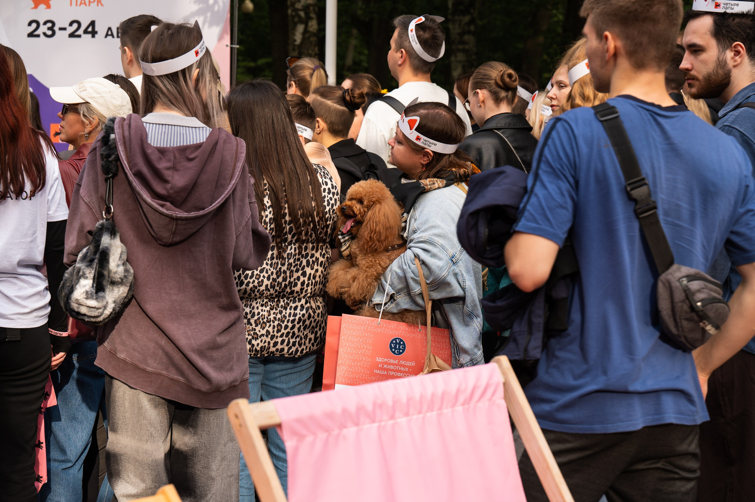 4lapy fest 2025. Photographer in Moscow Anna Chistiakova