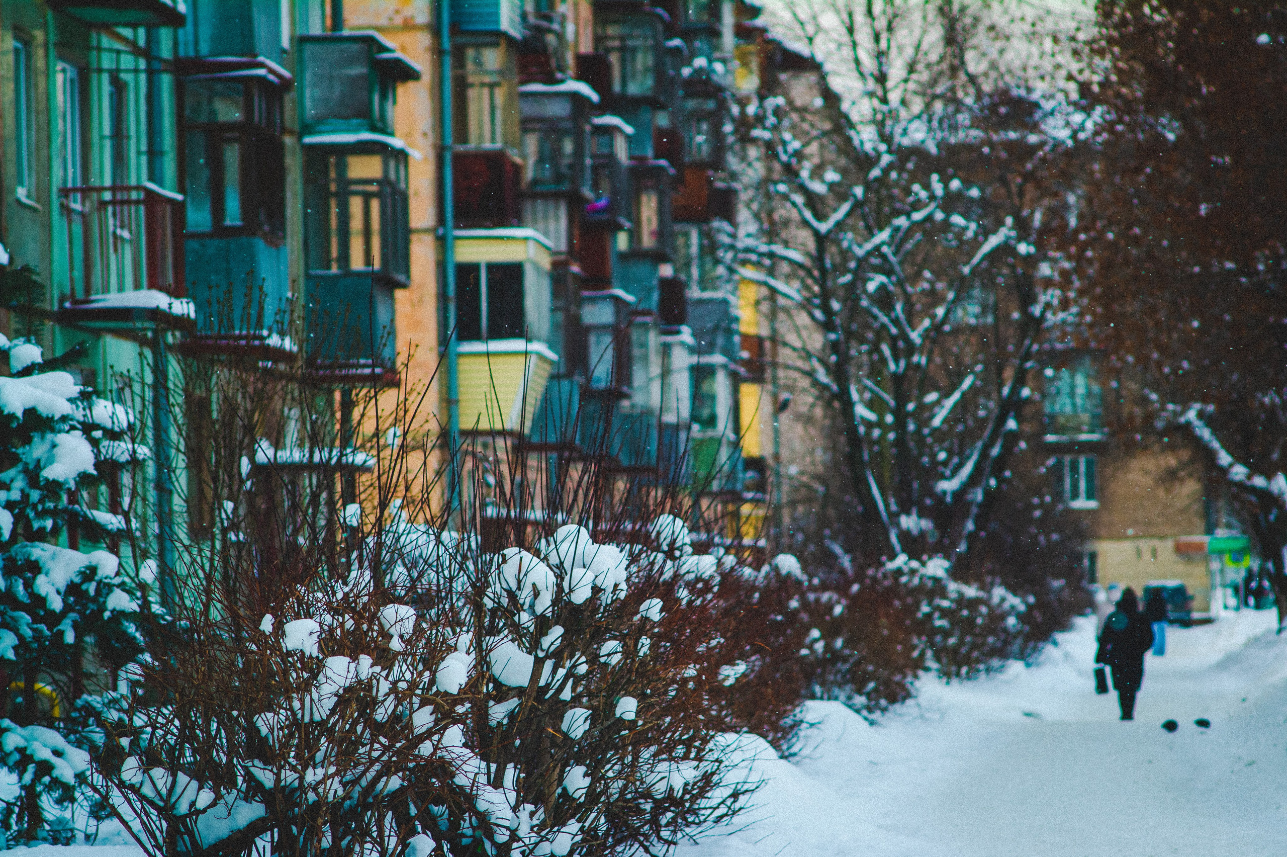 Обед. Den Mirov — Фотограф, Музыкант