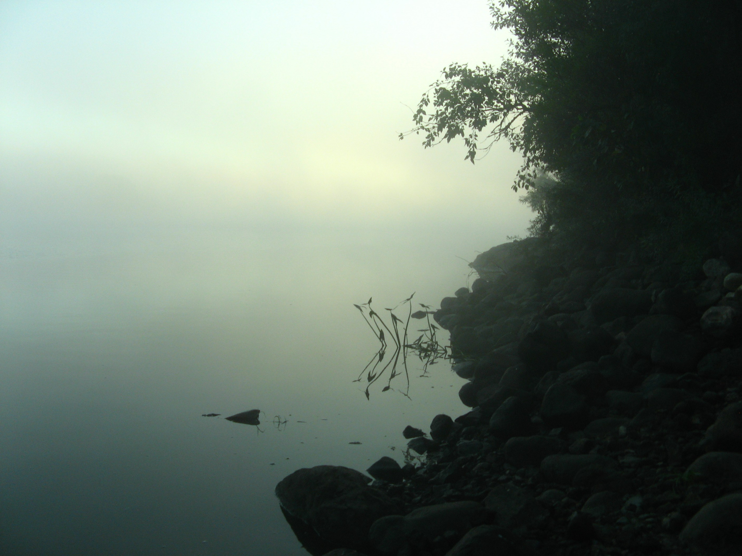 Август 2025. Den Mirov — Фотограф, Музыкант