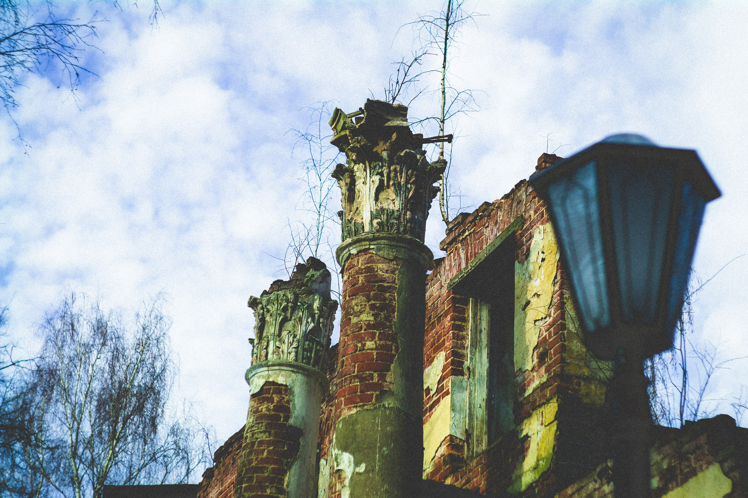 Kingdom. Den Mirov — Photographer, Musician