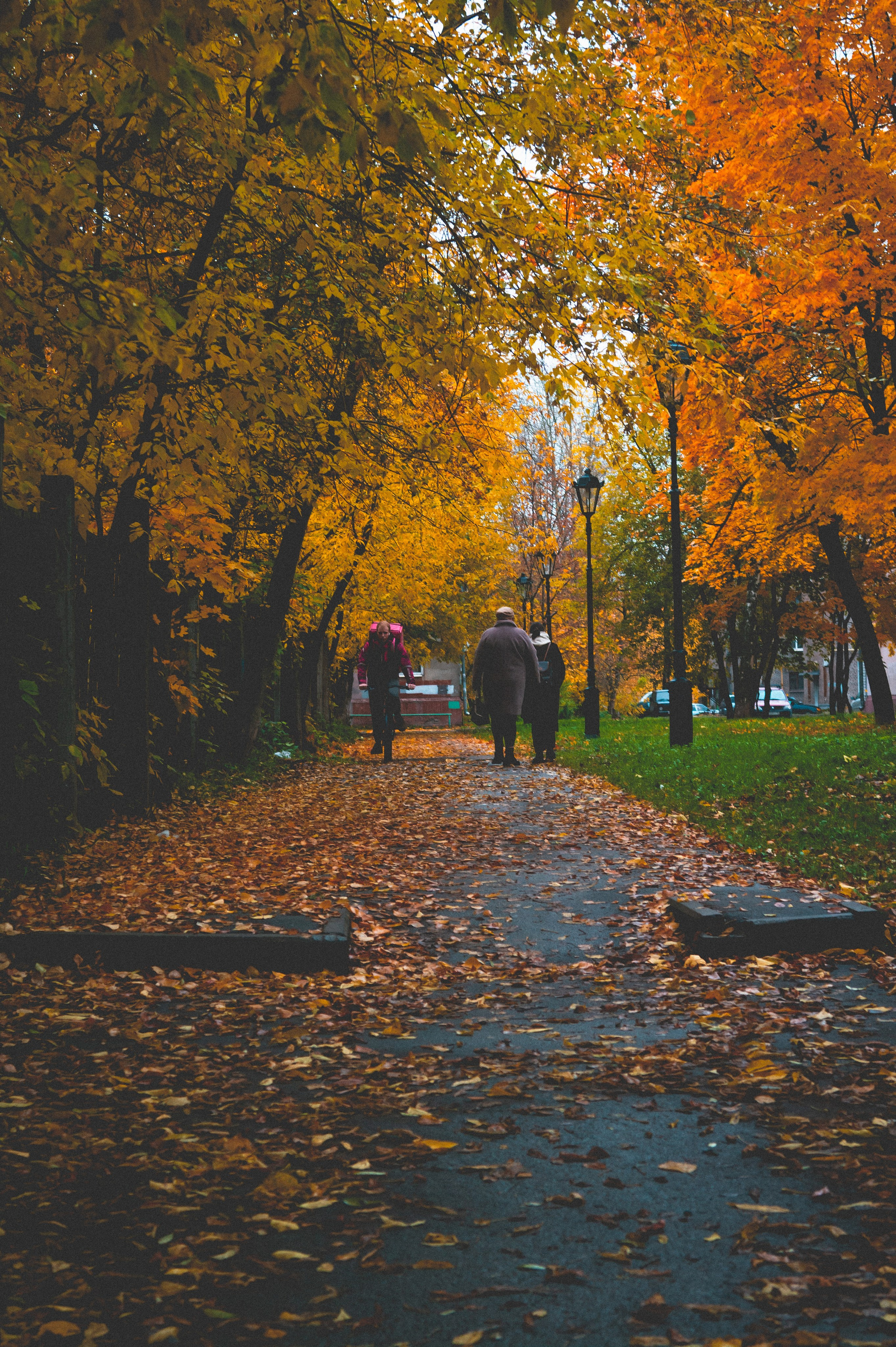 Октябрь 2025. Den Mirov — Фотограф, Музыкант