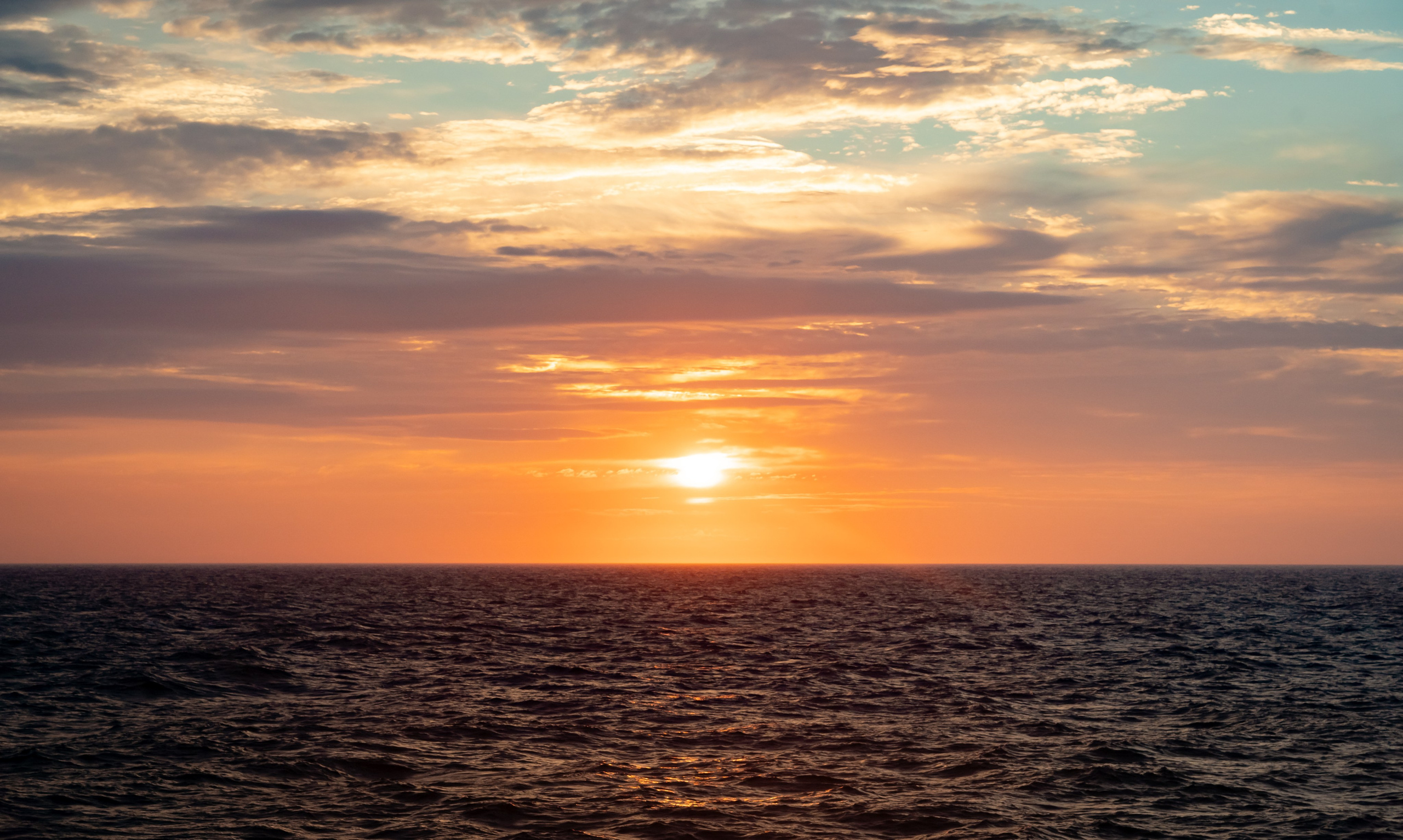 Итуруп. Семейный фотограф Варвара Сорока в городе Москве