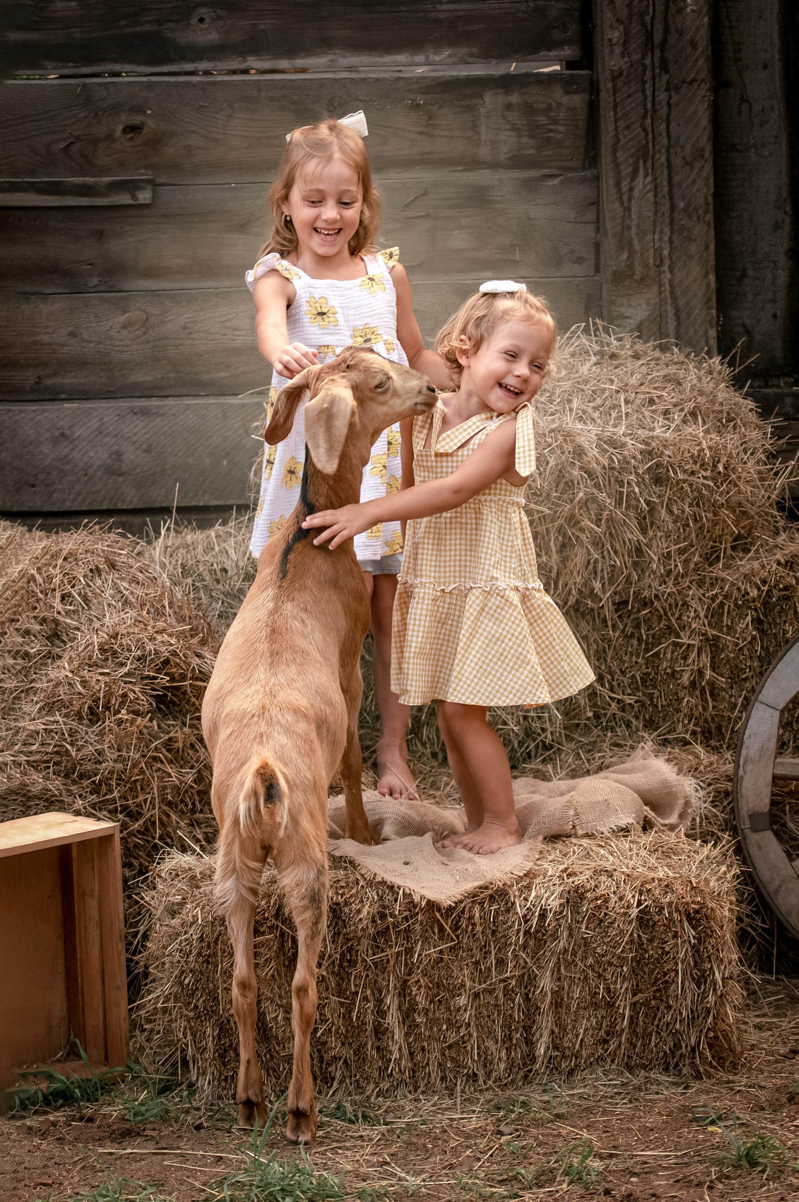 ДЕРЕВЕНСКИЕ ИСТОРИИ. Семейный и детский фотограф в Канске и Канском р-не, Красноярск и