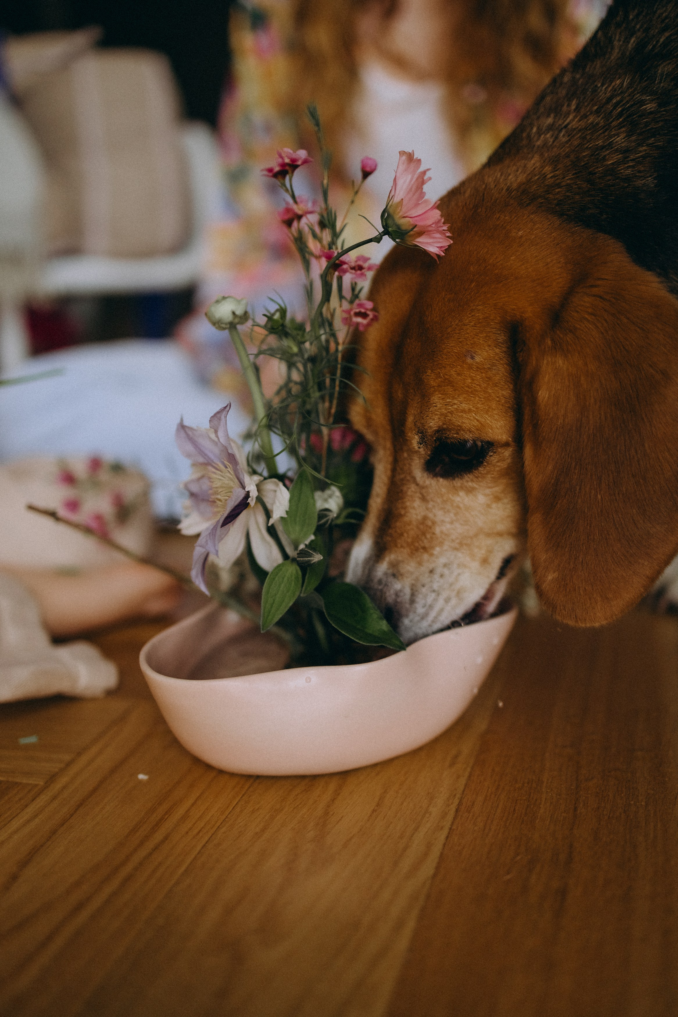 Инна и Ханна. Главная