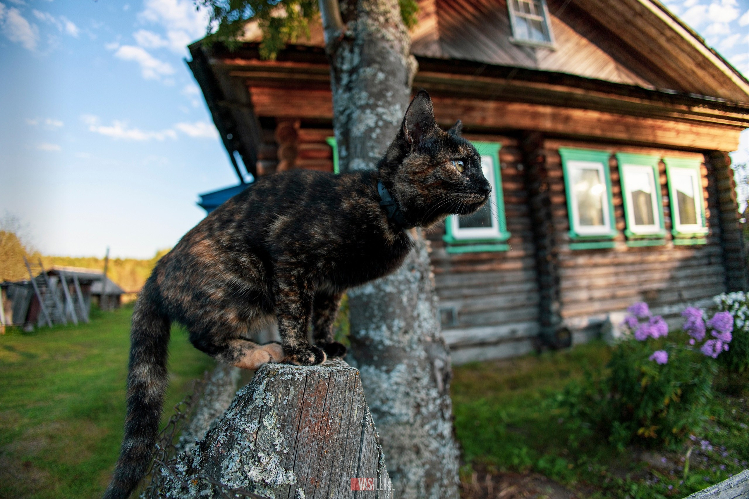Прочее. Достопримечательности, виды из окна и т.д. Фото недвижимости в Нижнем Новгороде. Иван Василич