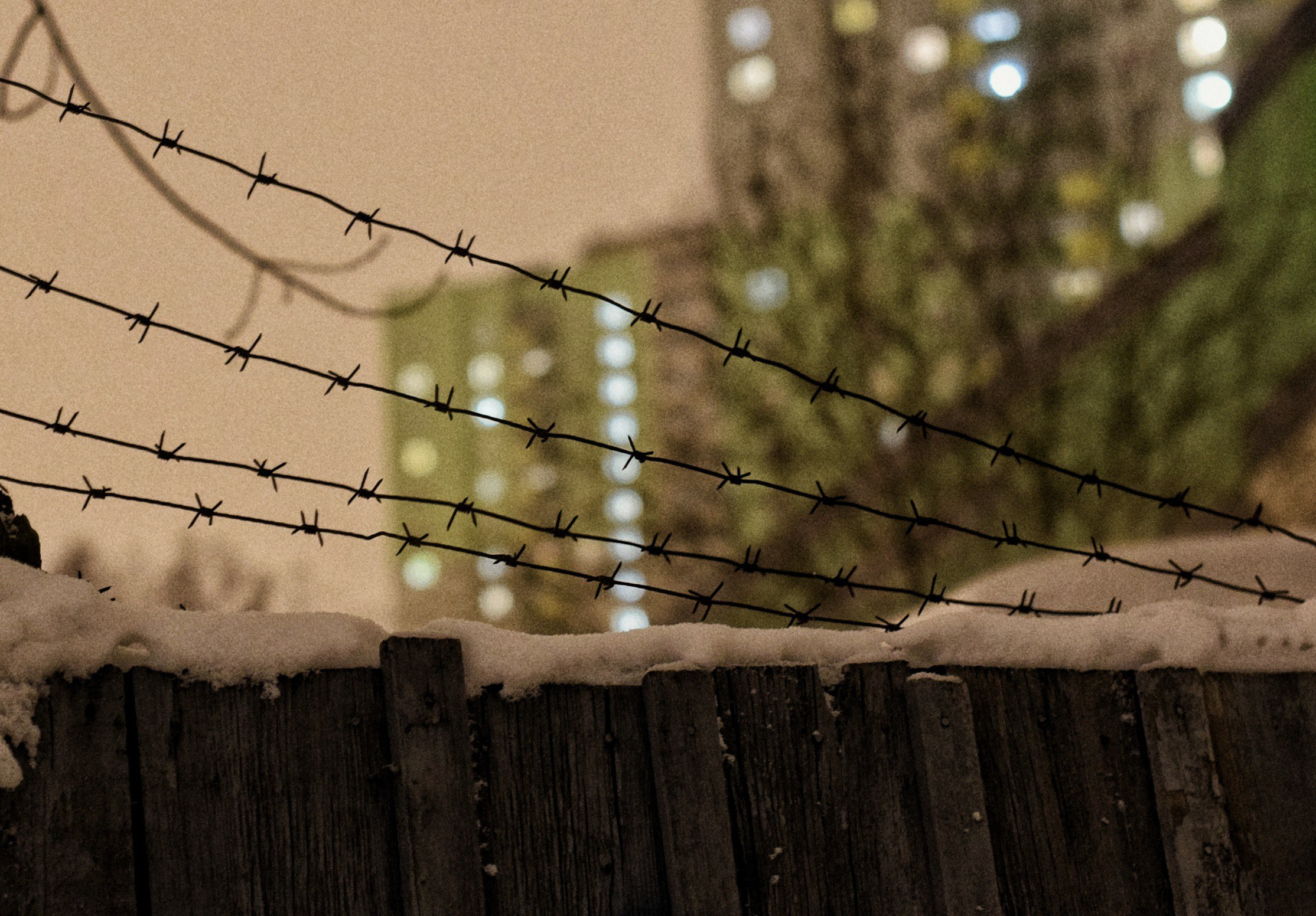 Дачные. Фотограф Алиса Аспер