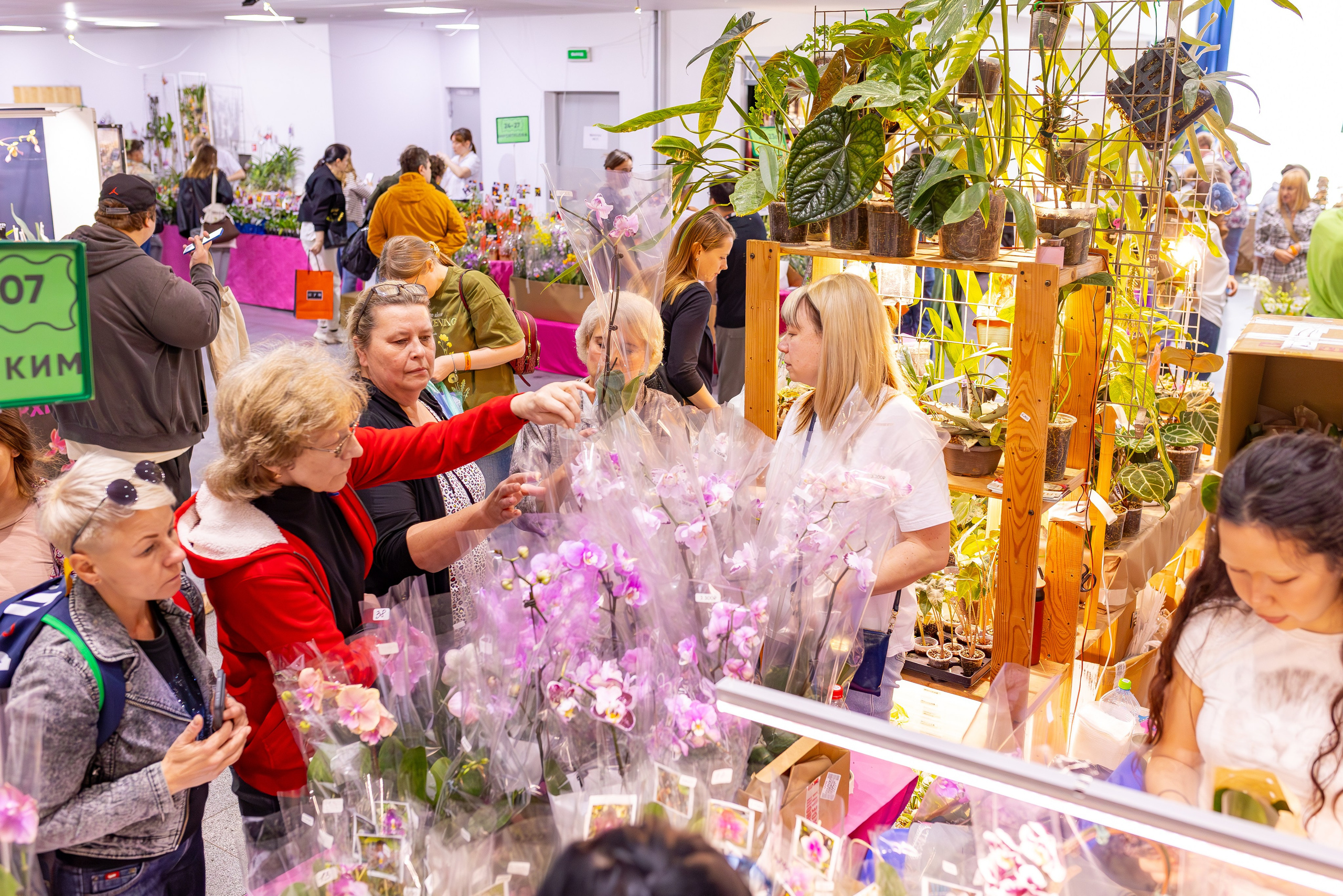 Орхидиум сентябрь 2025. Александра Куликова фотограф, Москва