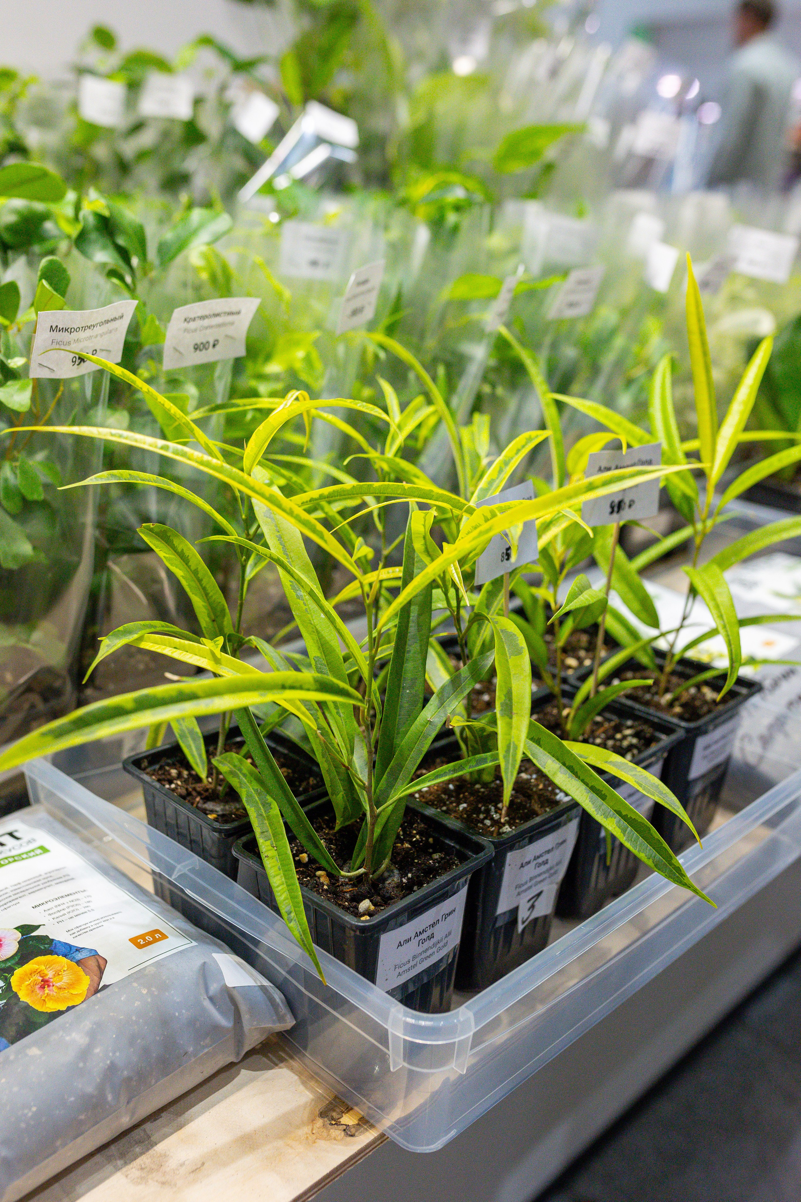 Монстериум 11–12 октября. Александра Куликова фотограф, Москва