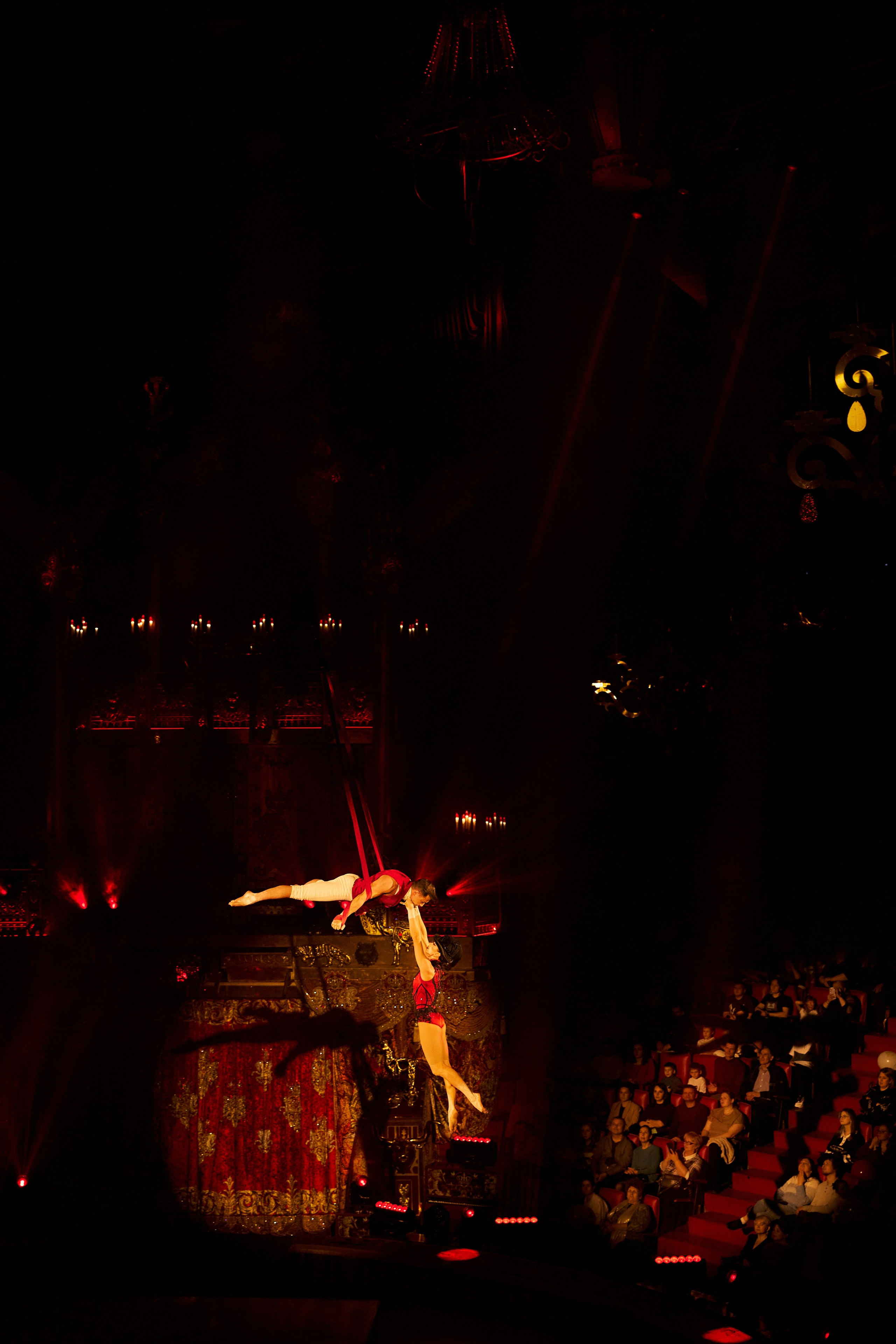 Королевский цирк Гии Эрадзе. Свадебный и семейный фотограф