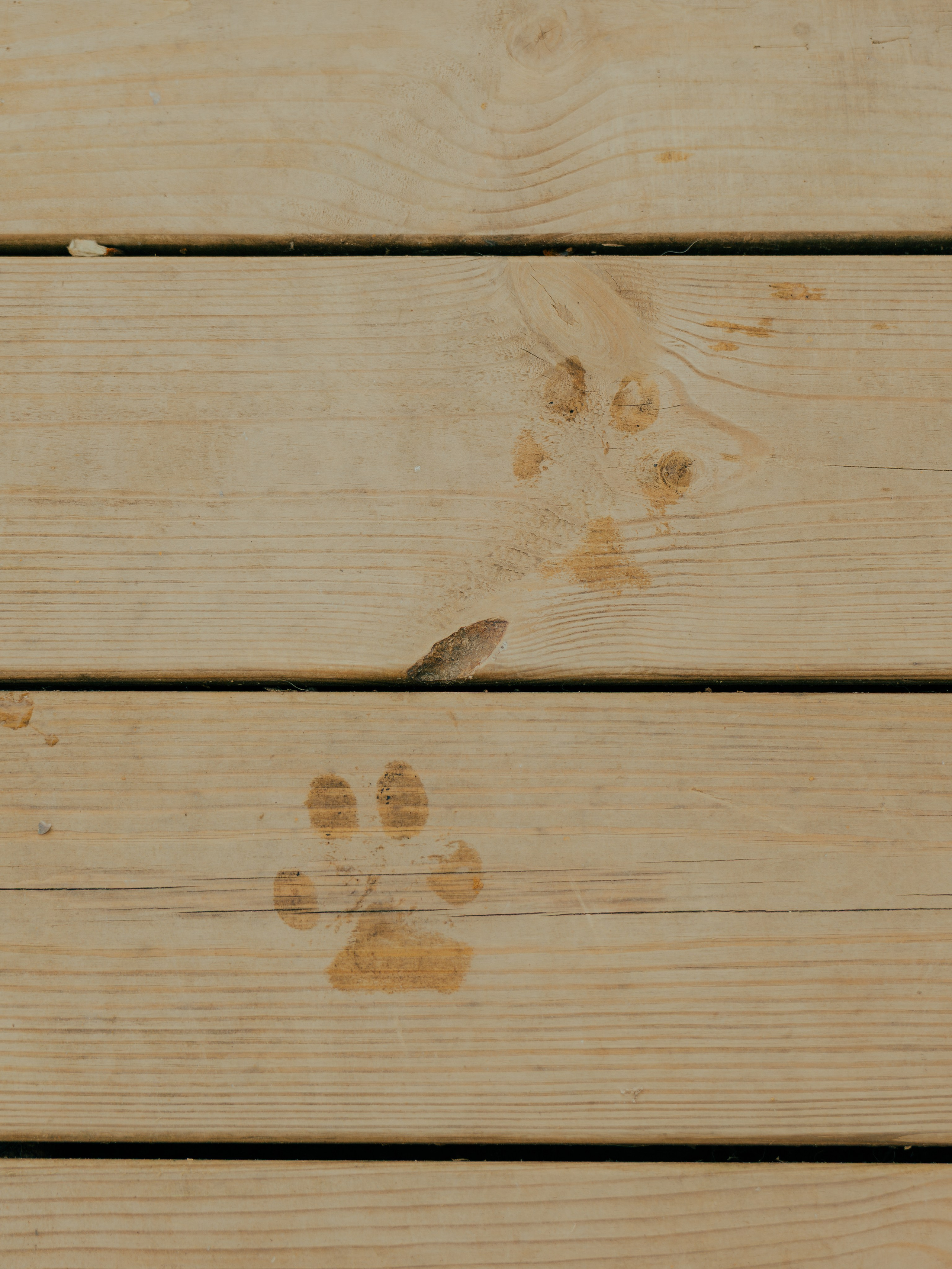 ZvenZen. Фотограф Павел Краснов