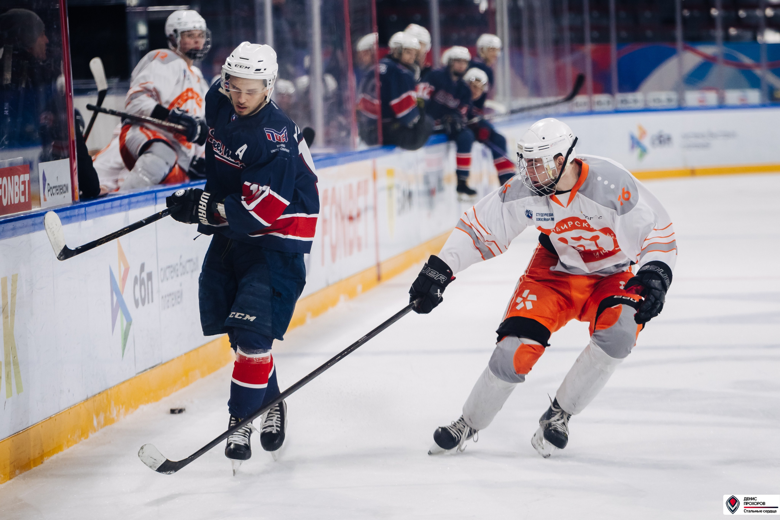 «Стальные сердца» — «СФУ» // 07-08.02.25. Денис Прохоров Фотограф в г. Магнитогорск